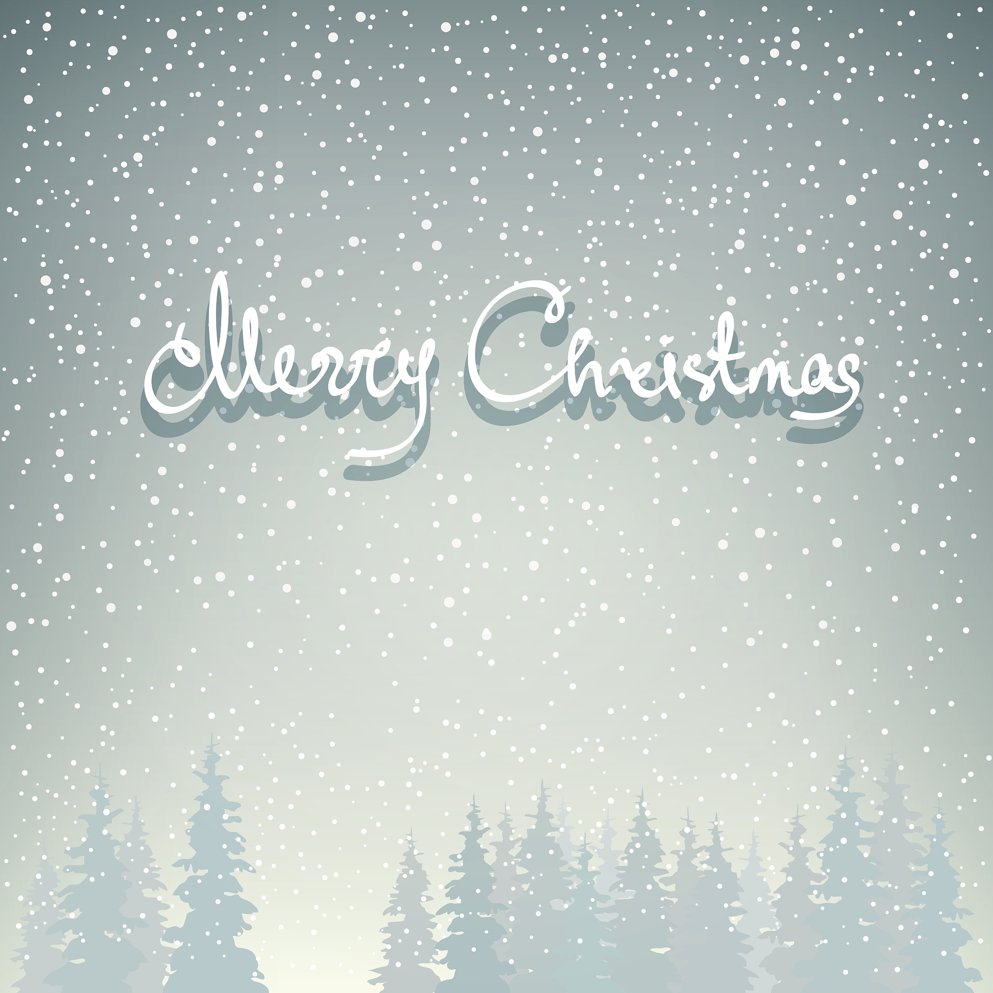 Impact of Preceding Crops and Management on Maize Yields in a Winter Wheat-Maize Rotation System