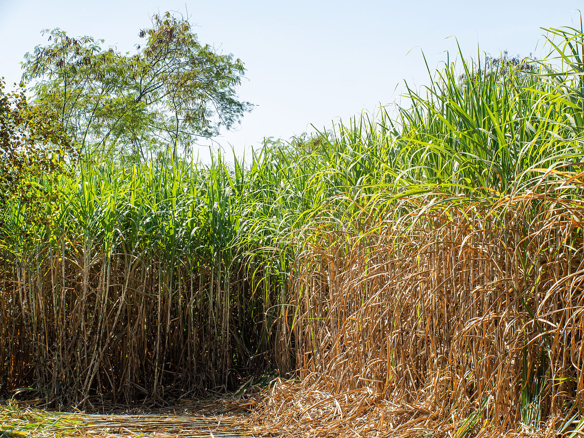 济宁农业学校办学模式是怎么样的？