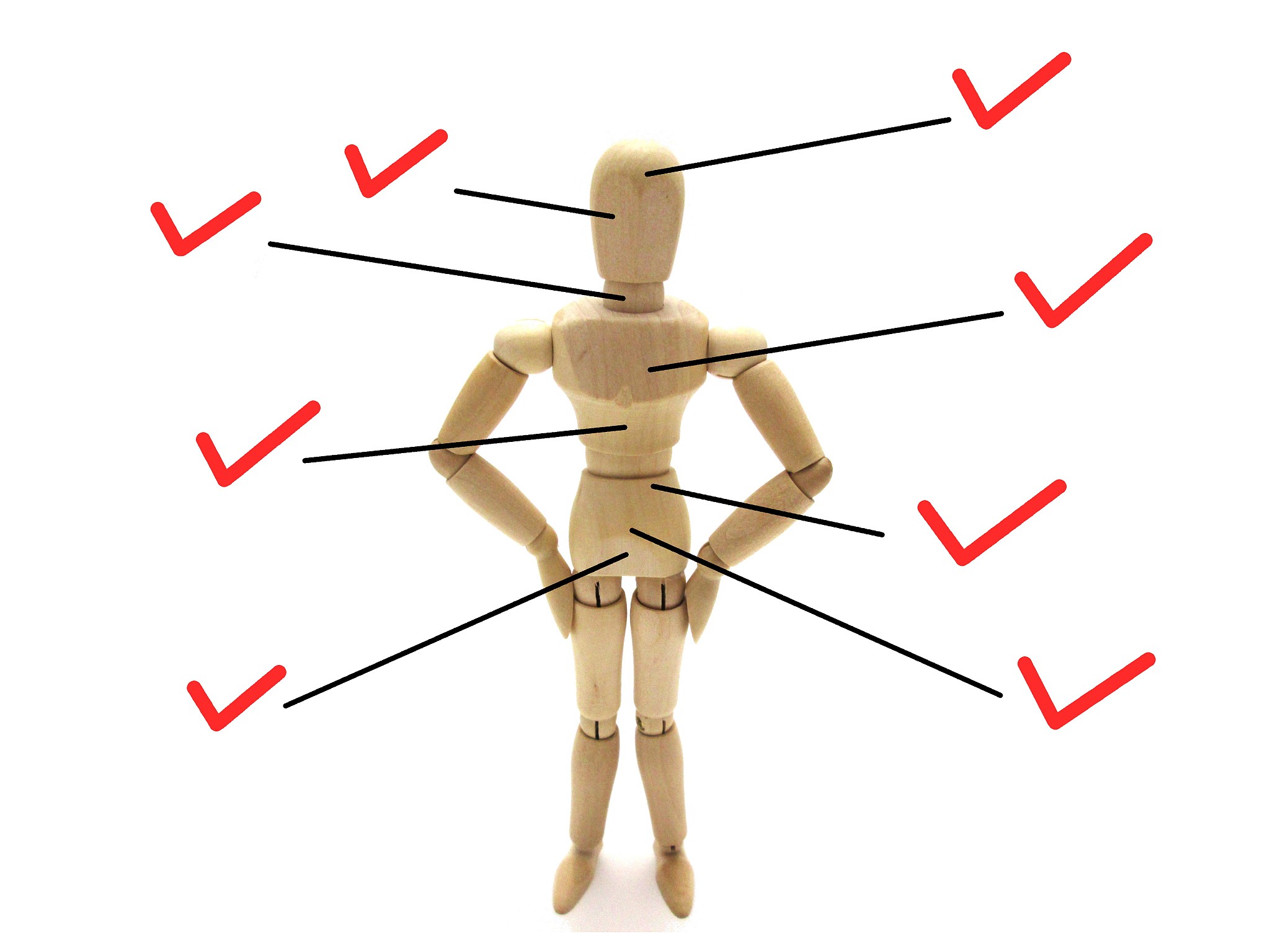 低臂内旋和外旋：人体骨骼运动详解