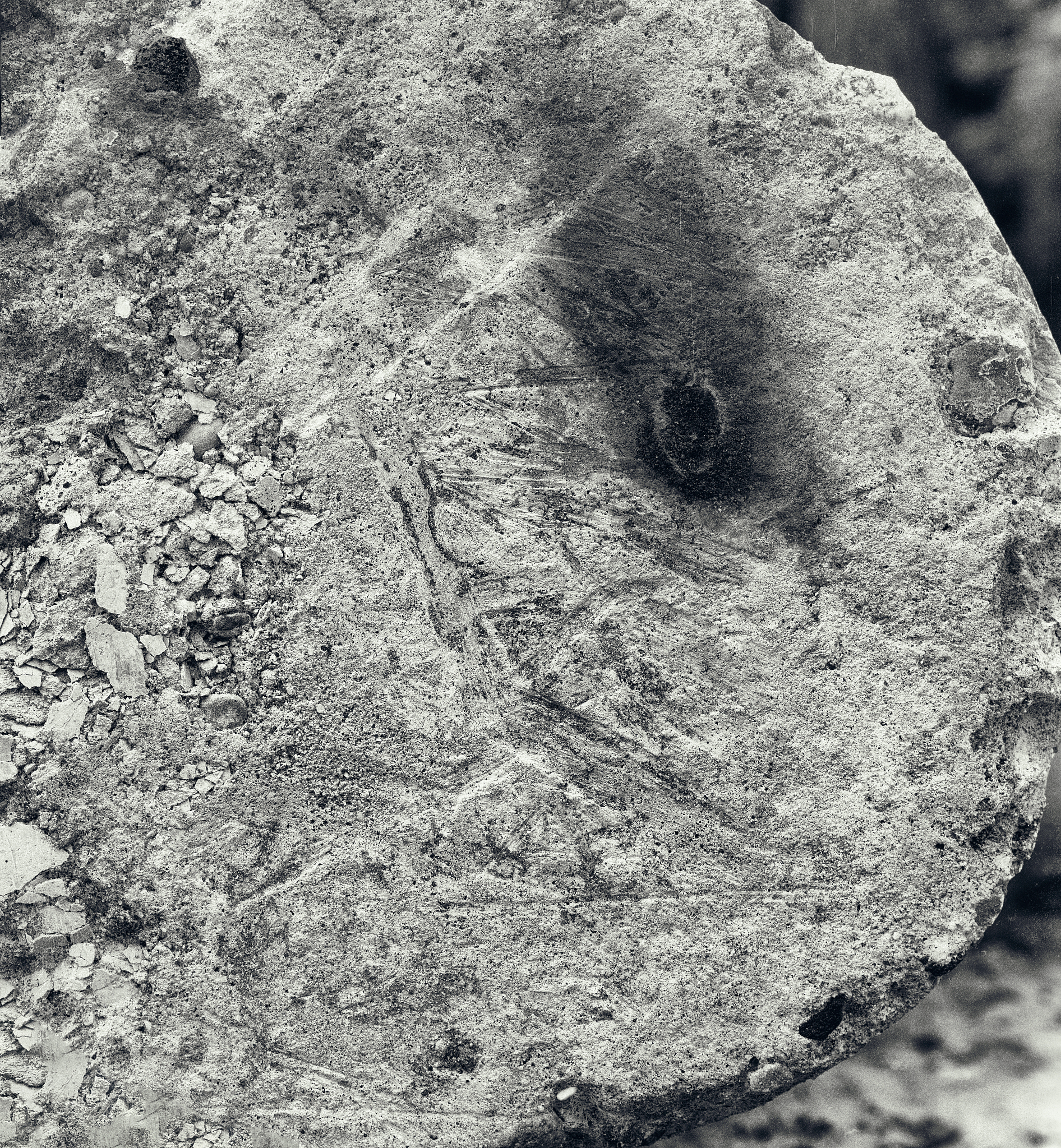 Cargo Damage Report: 312 Pieces Affected by Packaging, Water, and Rust