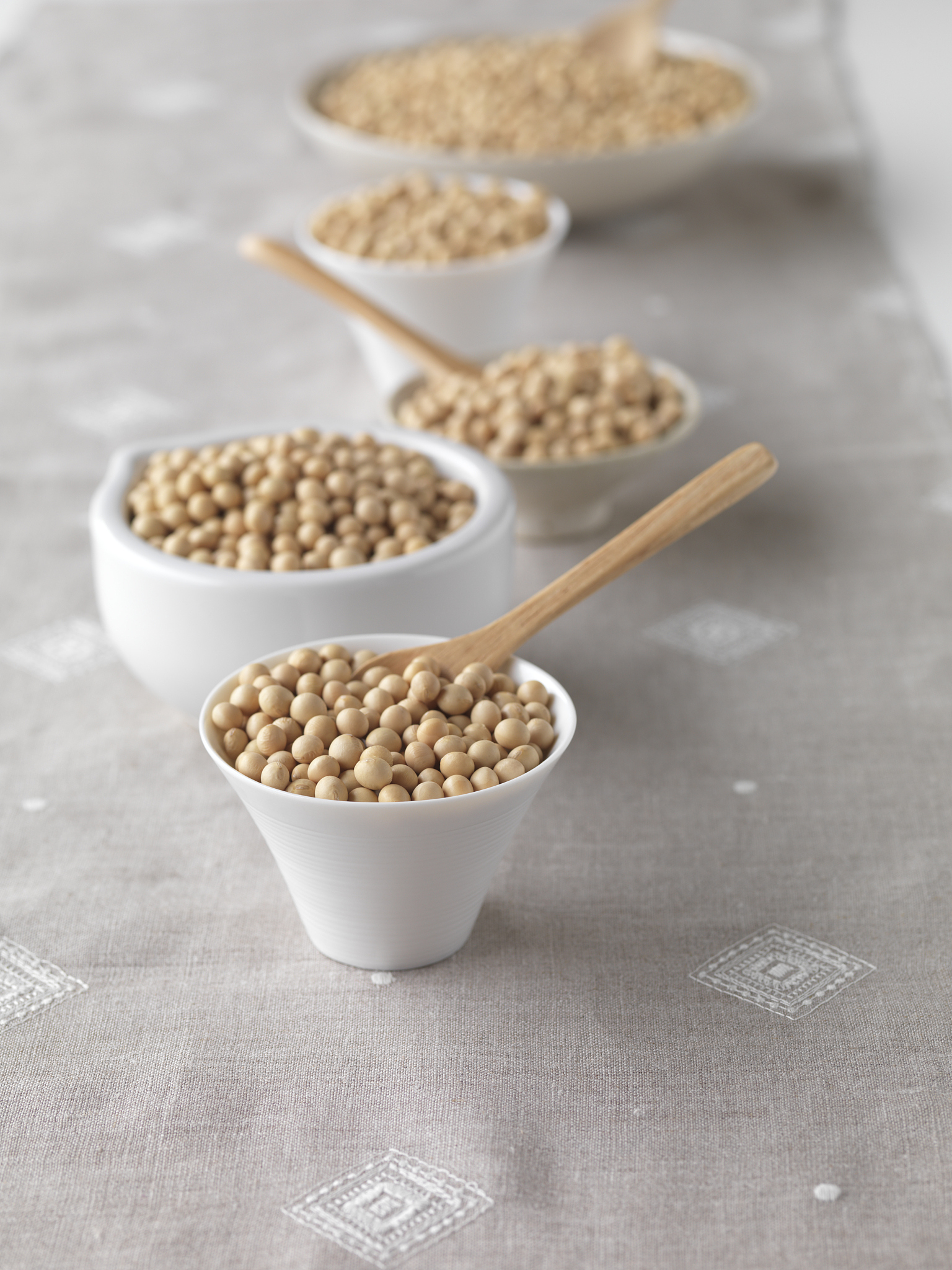 Brazilian Soybeans: Description, Uses, and Benefits