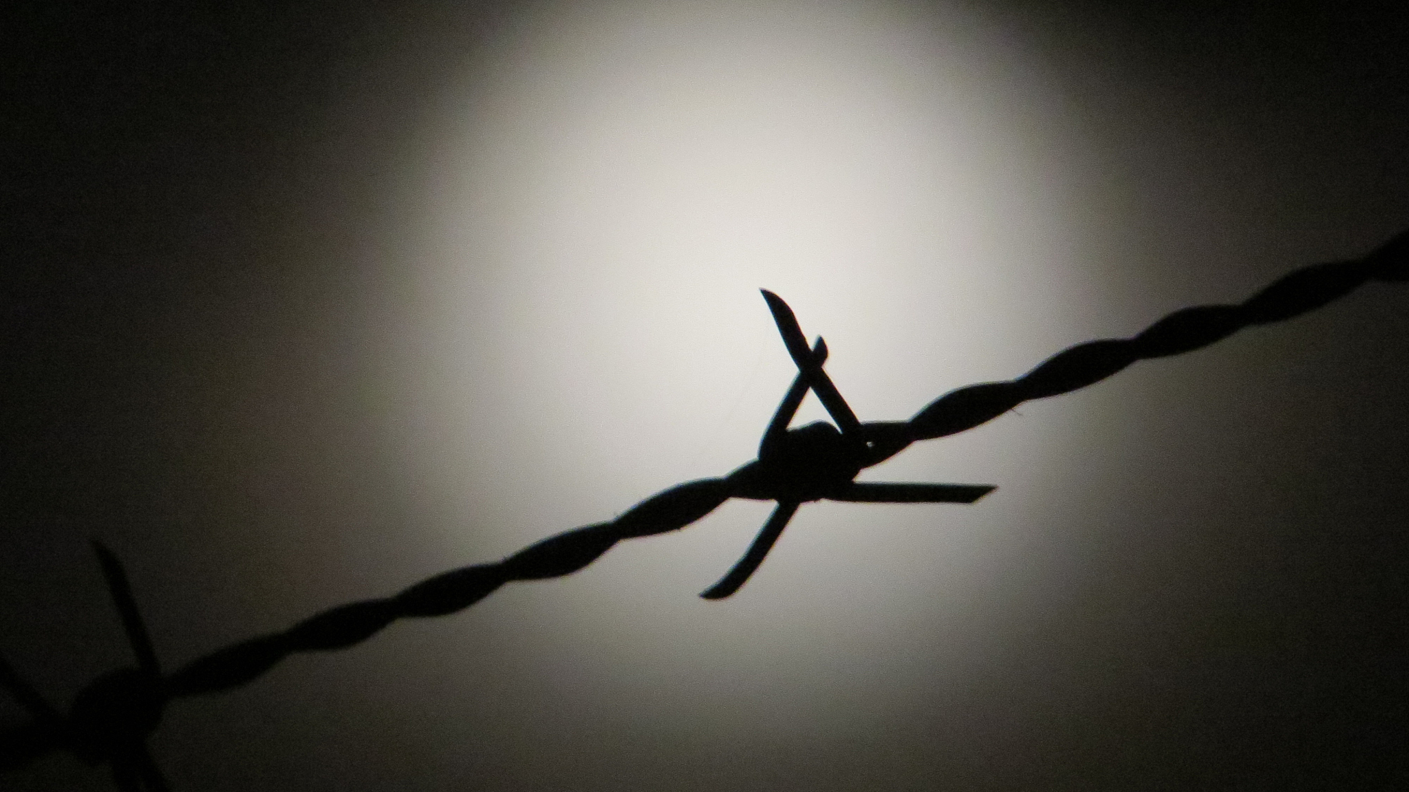 我是一个抖音读书博主我写了一条短视频文案是推荐《不要挑战人性》这本书的以下是我写的文案有些知识公开是对社会不负责的它们就该被封锁在学术圈里远离人群。比如人为制造爱情的吊桥实验只要按照原理设计就能对方凭空生出爱意。如果仅仅只是帮助单身汉脱单到也还好。要是被渣男利用怎么办呢？再比如控制他人的罗森尔实验只用几个标签就可以影响他人的命运走向。再比如篡改记忆的目击者实验。这些实验及结论让人类在洞悉人性的征程