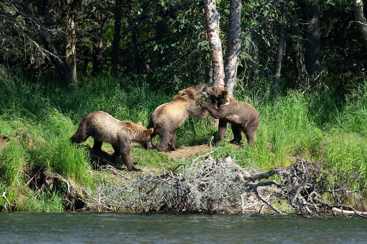 肇庆三只松鼠仓库管理优化研究：提升效率、降低成本、促进发展