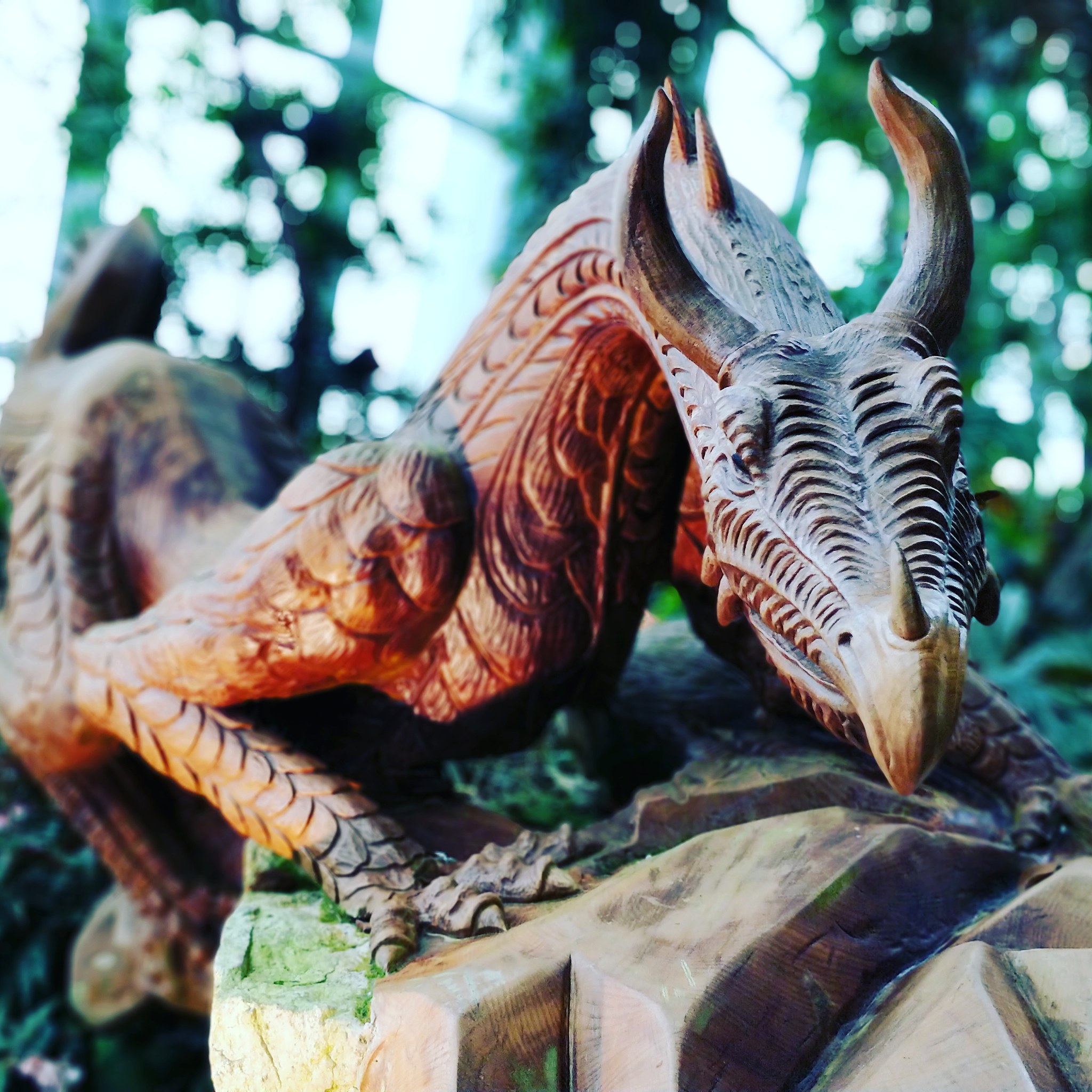 dragon