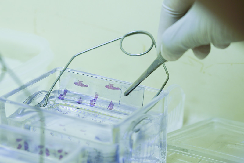 为什么不能吃饭