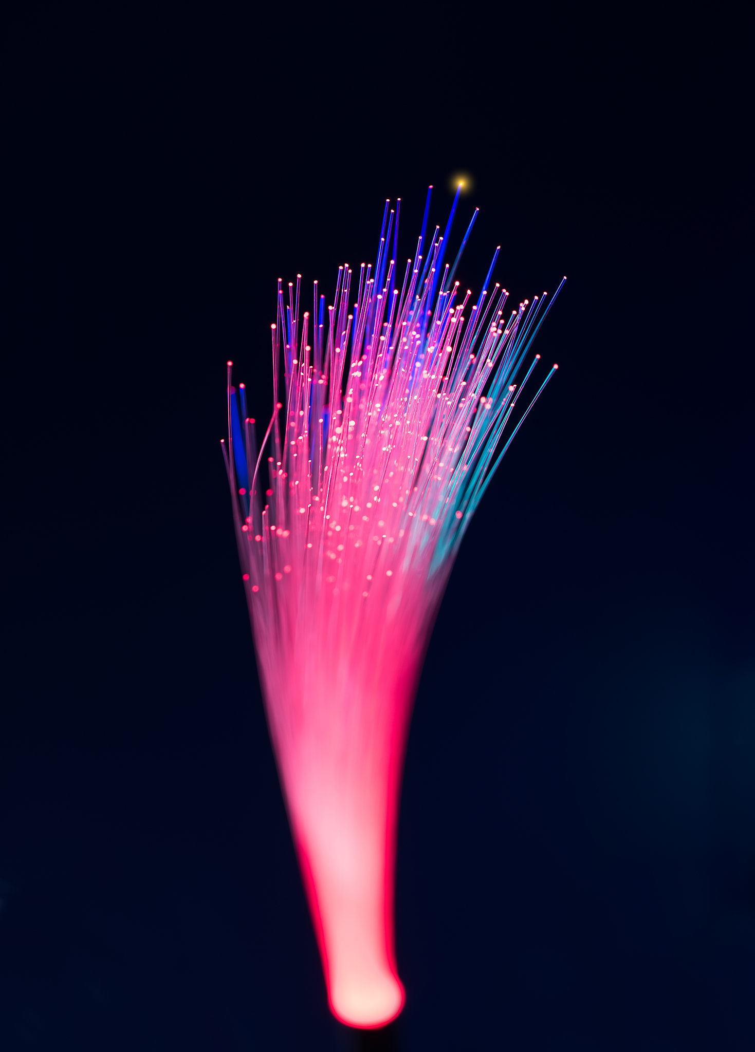 2021年湖北邮电学校有哪些招生专业