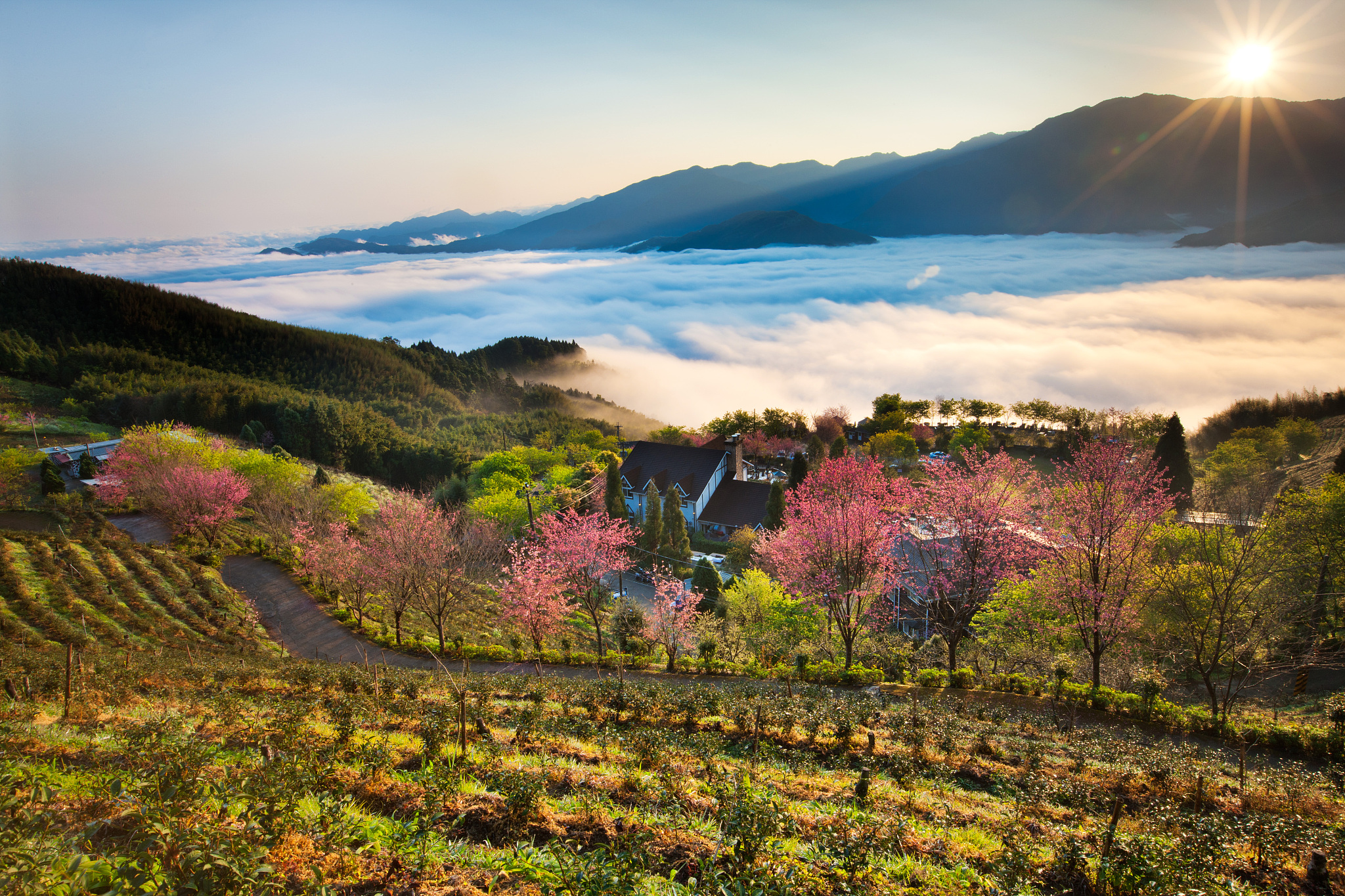 3～4月份去牛背山旅游详细攻略