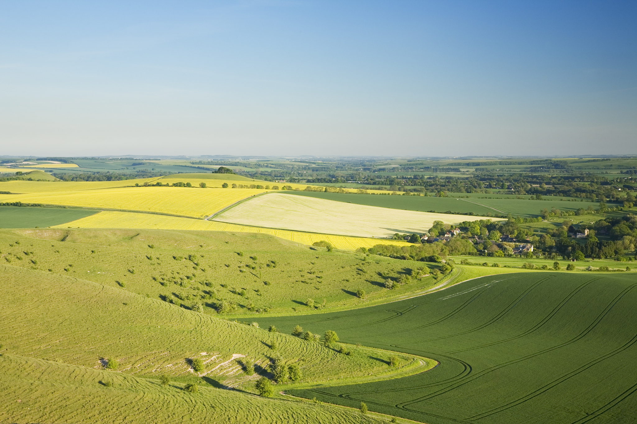 vale of pewsey from milk hill. wiltshire. england. uk.