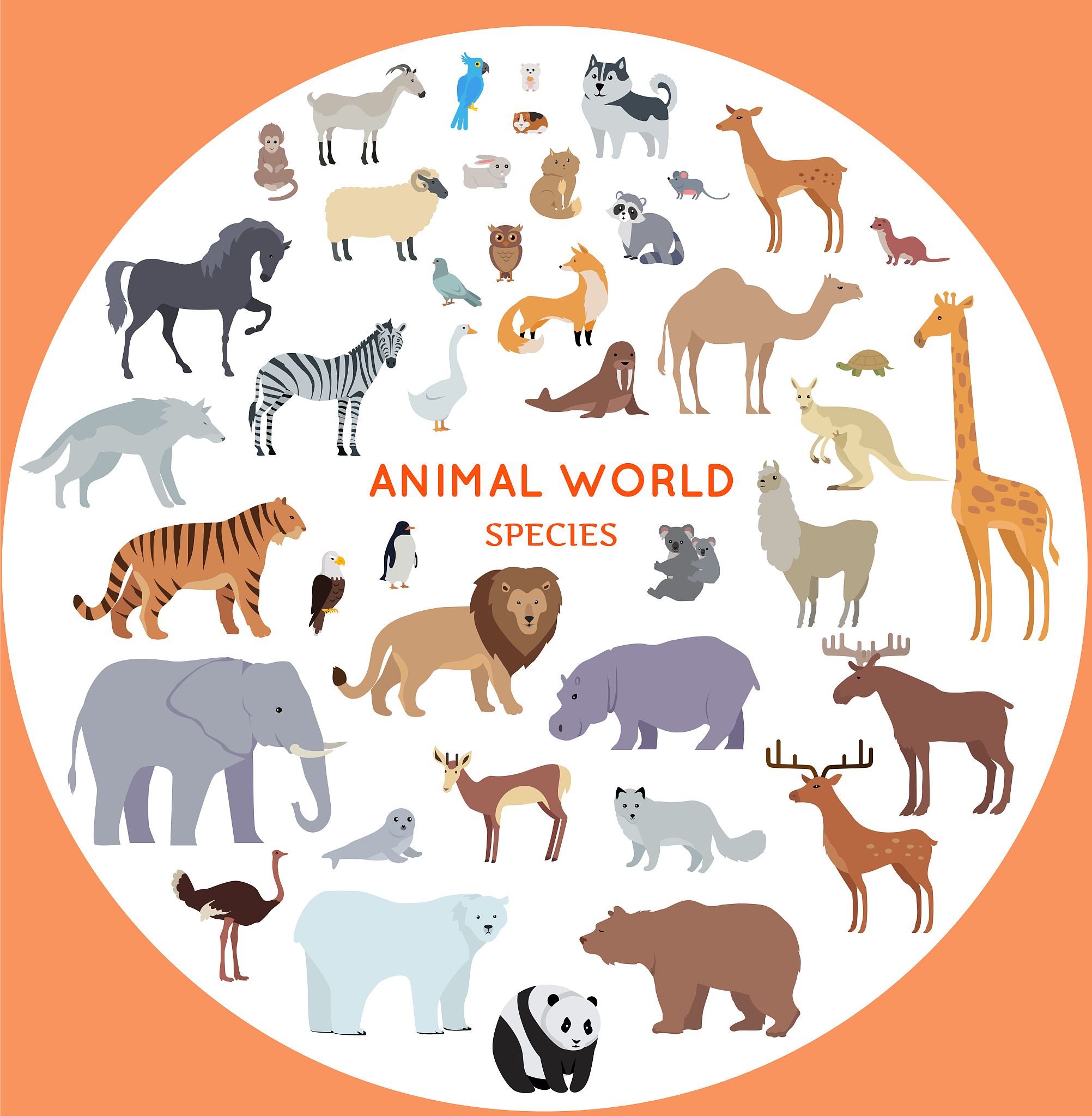 Animal Communication: How Do Animals Talk?