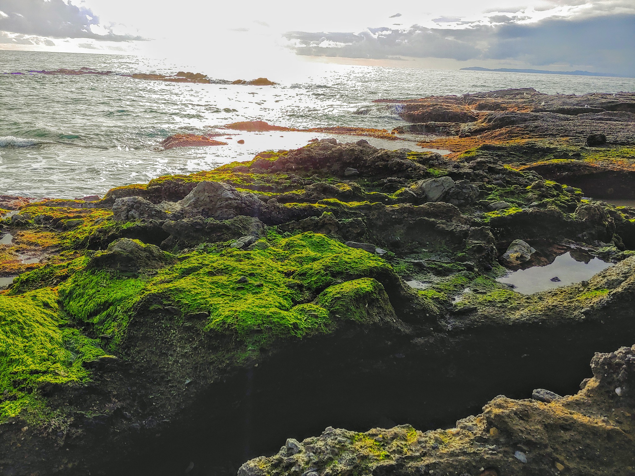 请用中文润色修改下面的文字可以适当扩写要求结构合理逻辑清晰请使用专业学术用语：根据本研究的结果可以发现黑石礁岩相潮间带生物的种类数量存在明显的时空差异。这些差异可能受到多种因素的影响包括温度、潮汐和生境变化87 88。 就空间分布而言本研究发现S2采样断面的生物数量全年均小于其他几个采样点。这一研究结果可能是由于S2采样断面位于城市排污口生境受到扰动和破坏导致生物多样性受损。从垂直分布的角度来看本