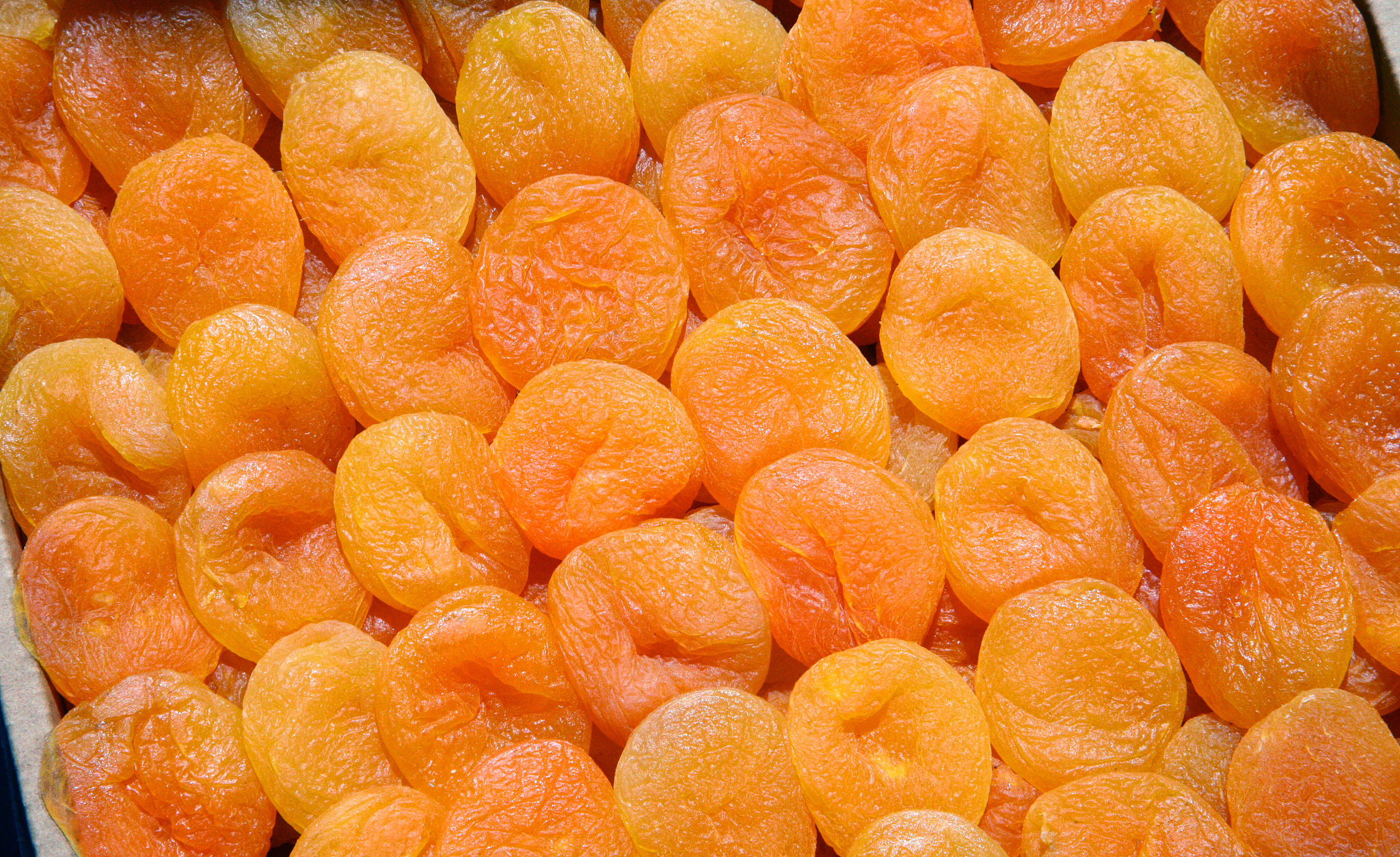 apricot