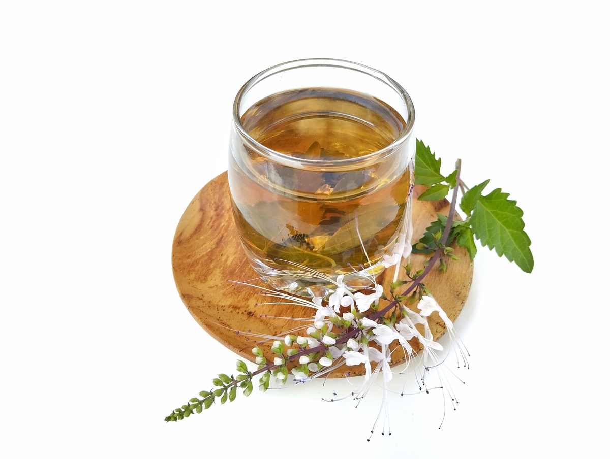 公英能和枸杞在一起泡吗