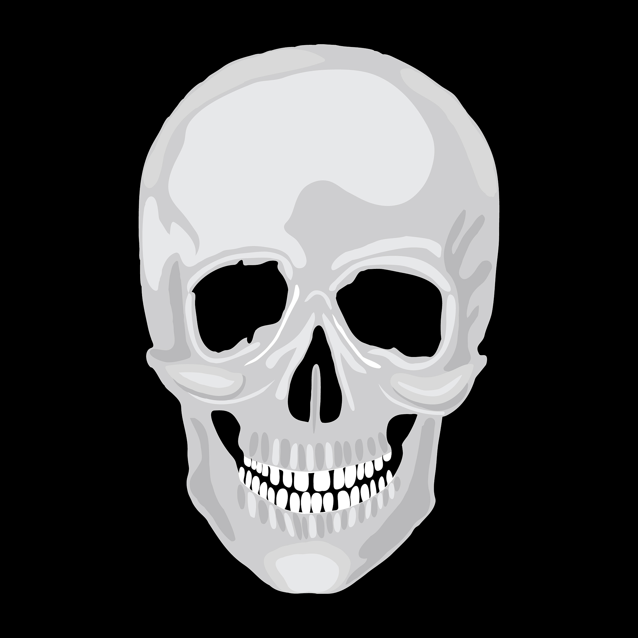 scull human