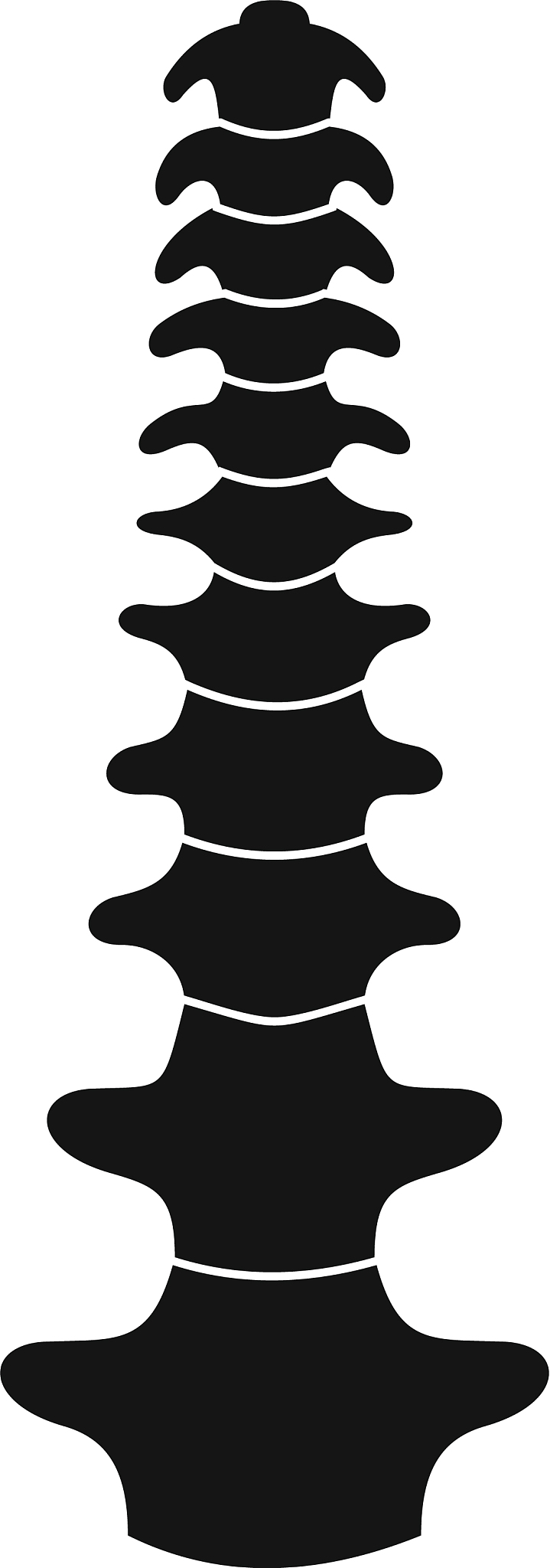 桃源县职业中等专业学校专业设置及培养方向