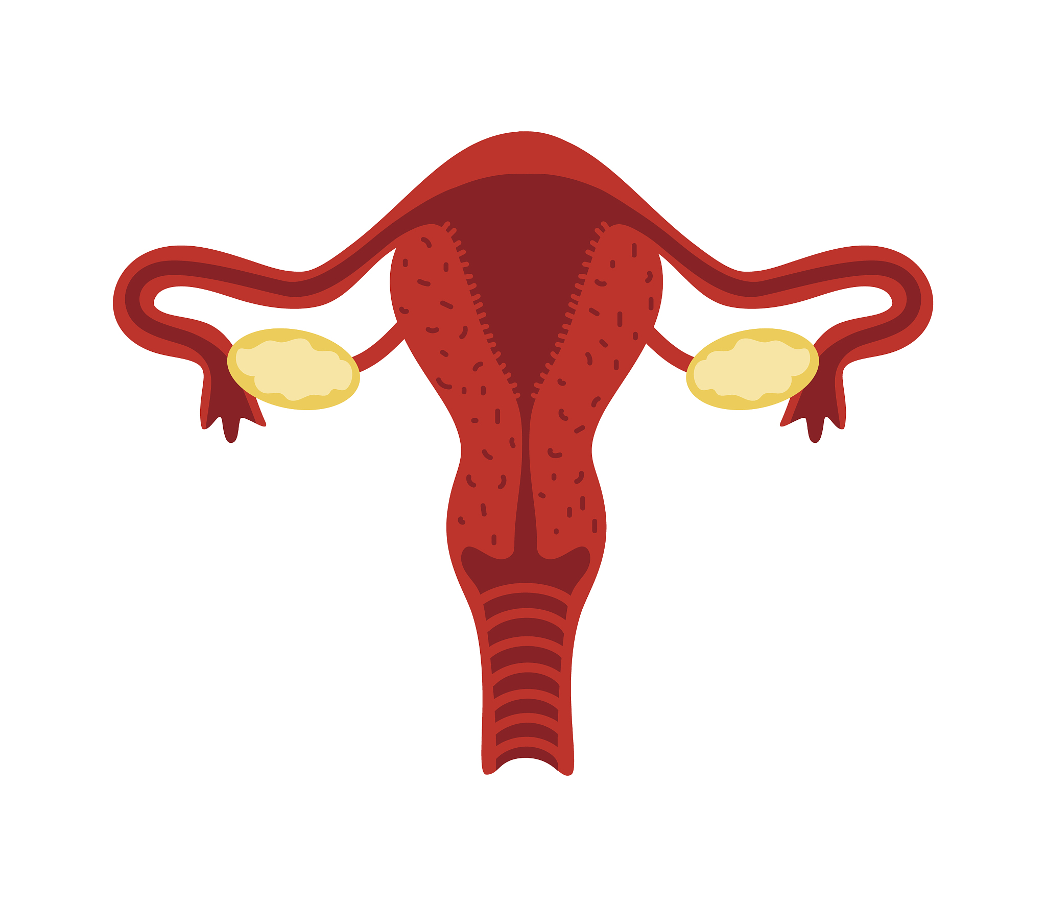 例假日期代表含义，