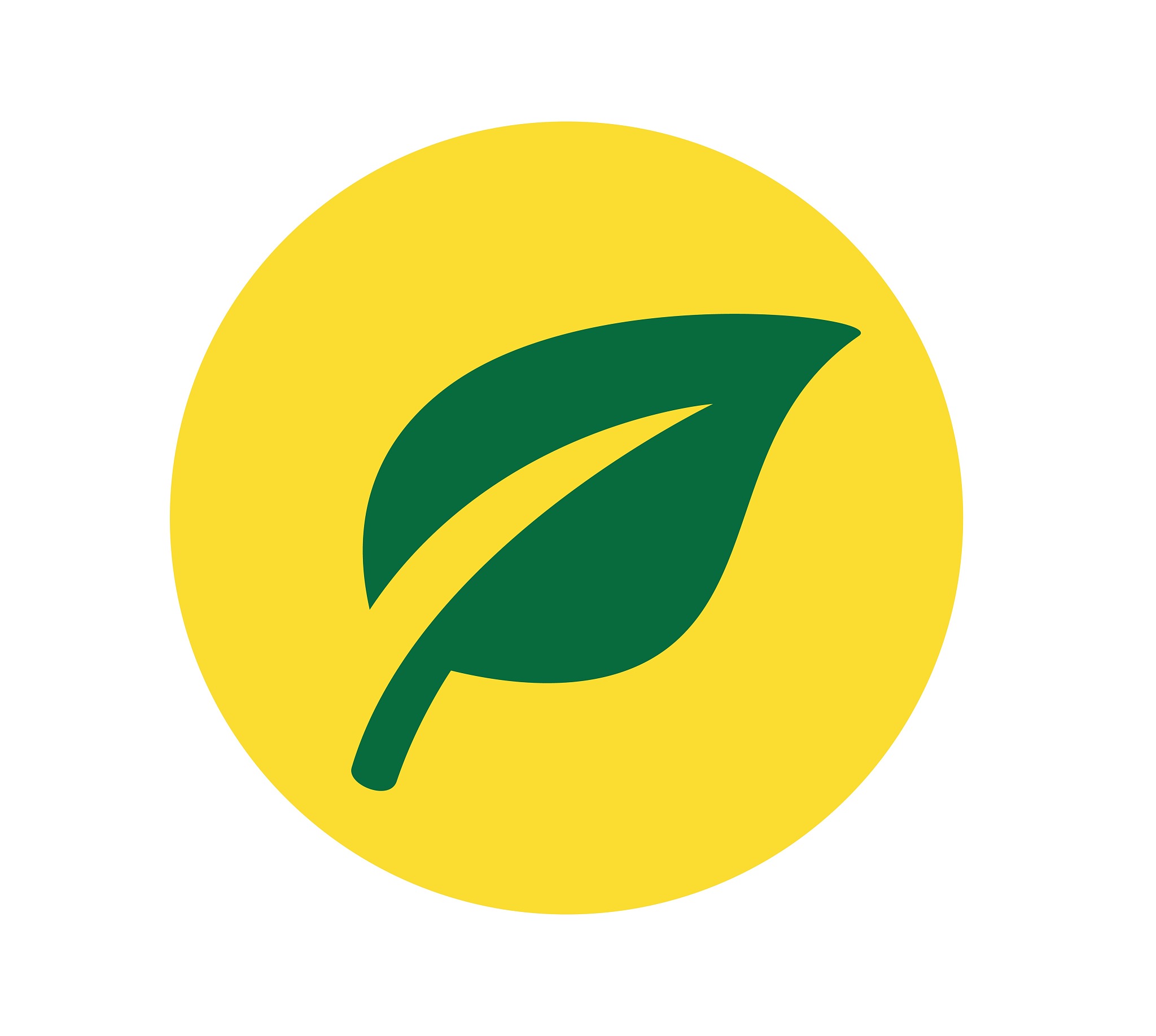 leaf icon design