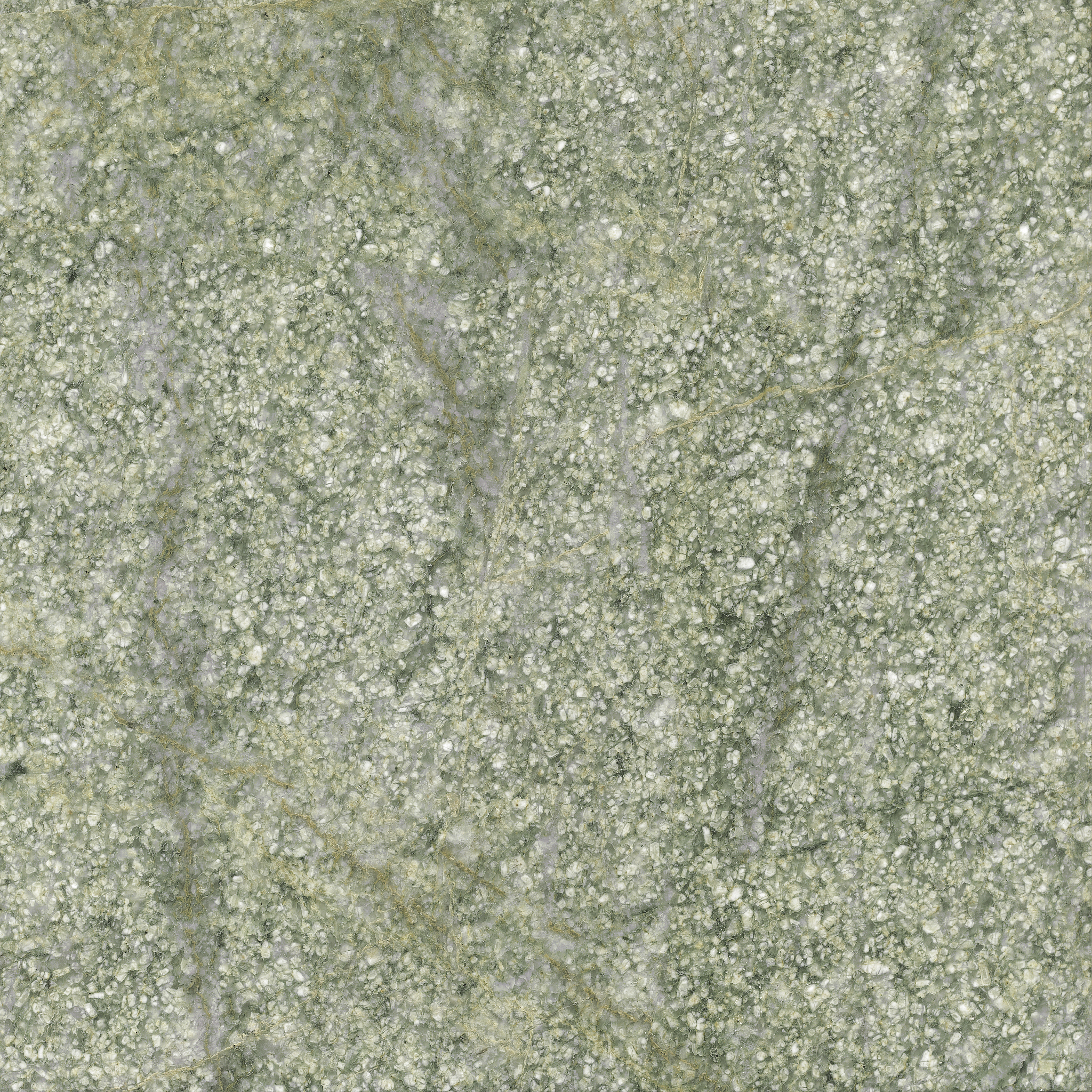 土壤的组成成分：矿物质、有机物、水和空气