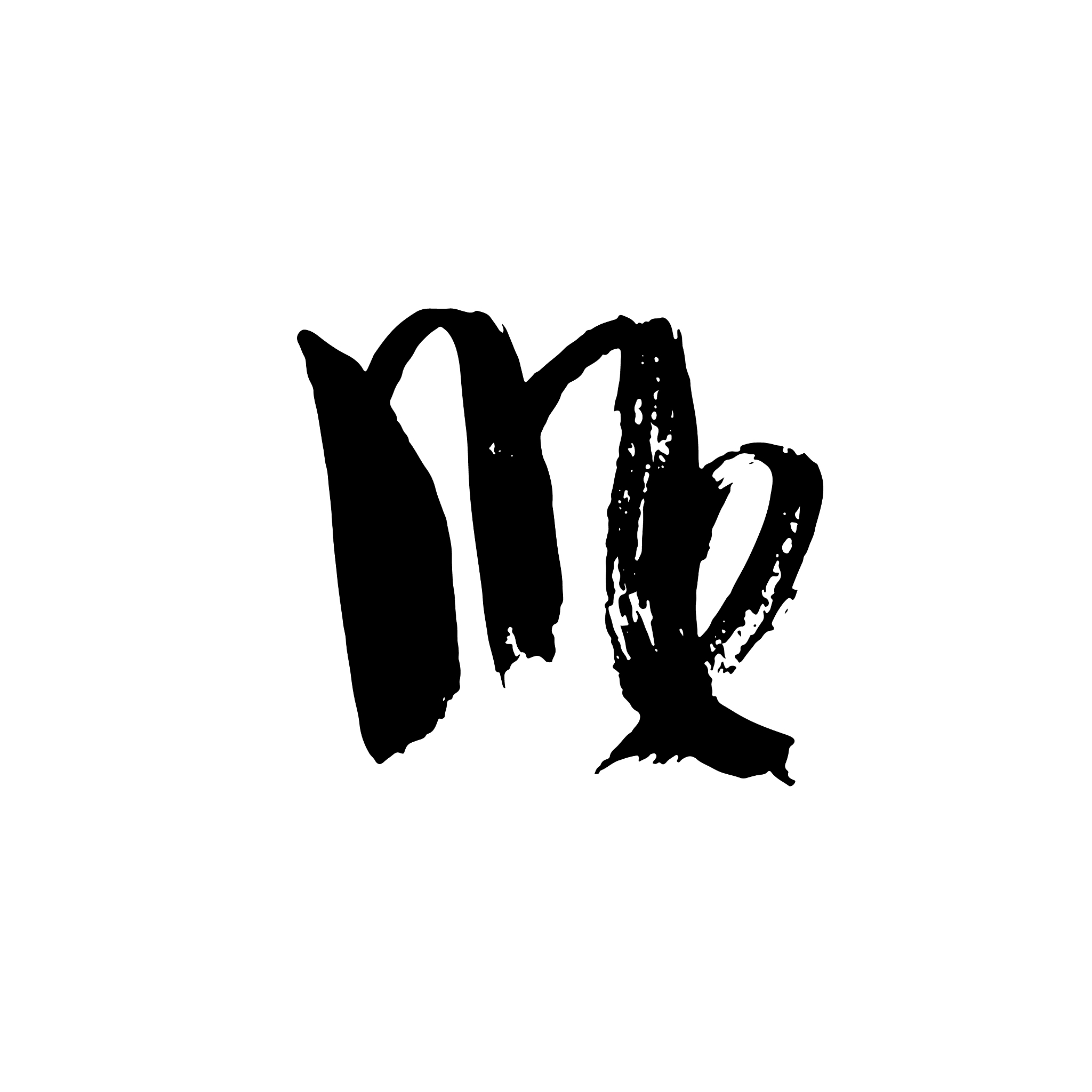 zodiac sign virgo dry brush