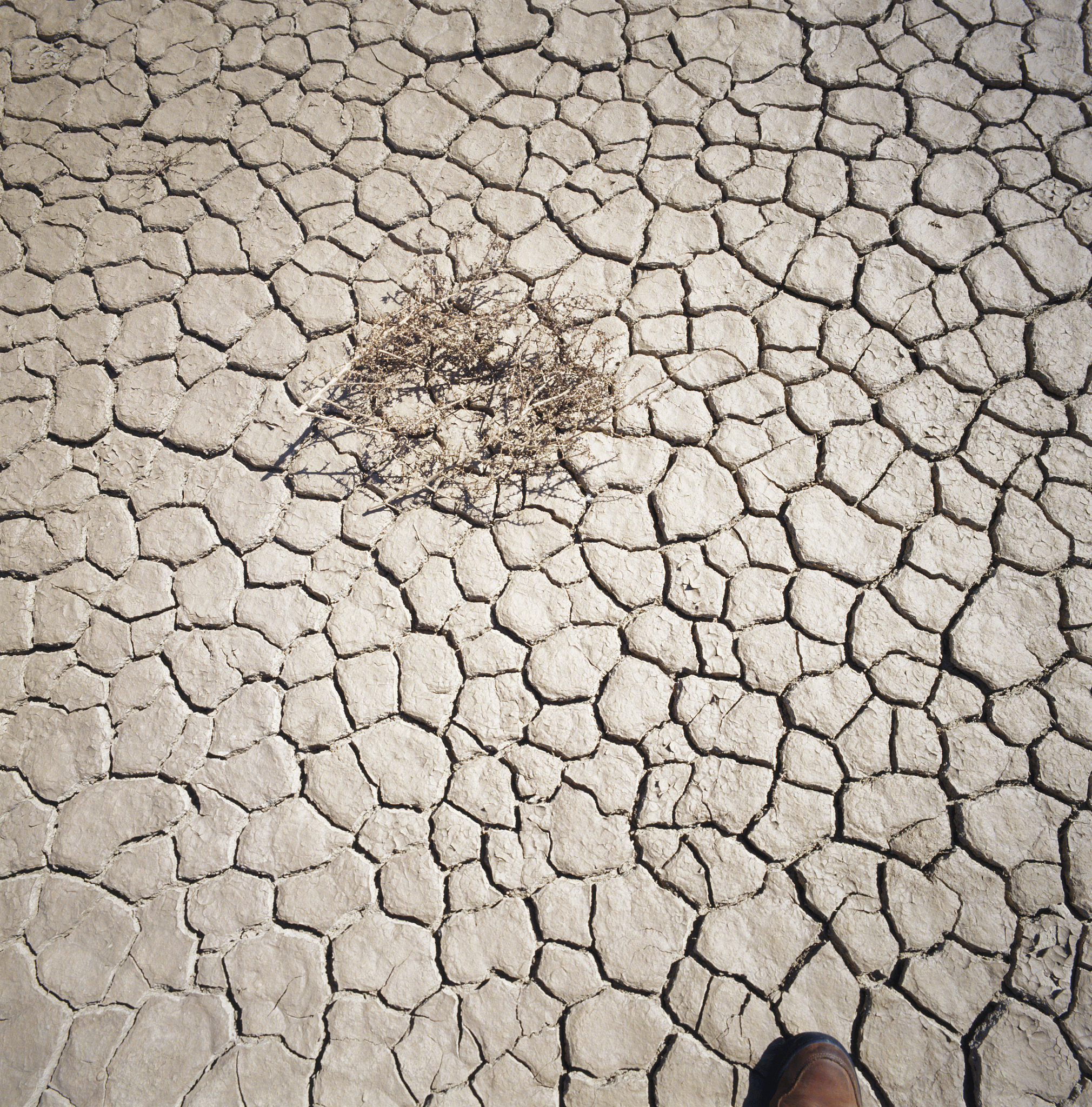 土地保障要素分析