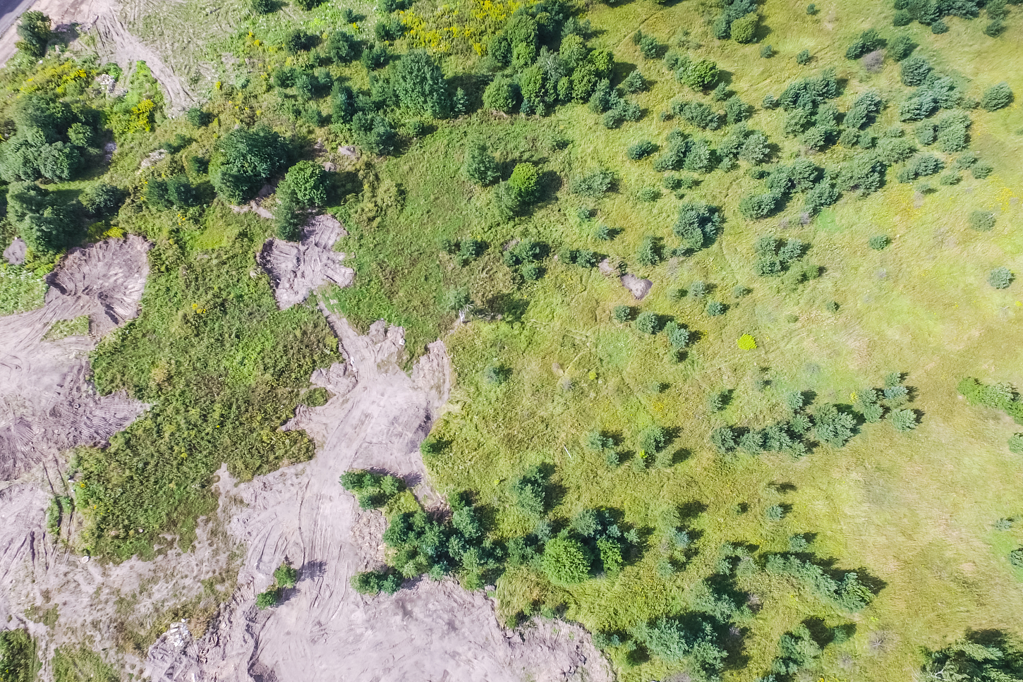 水资源环境时刻影响我国人民生活的质量水平以及国民经济的快速发展对内陆水体环境动态监测对实现内陆水体的污染防护和科学的水资源管理有着重要意义。叶绿素aChlorophyll-aChl-a作为内陆水体的重要水质参数同时也是藻类重要的组成成分之一是监测内陆水体富营养化程度一个重要指标估算反演区域水体内叶绿素a的浓度含量可以协助治理水体健康维持水域及其周边生态环境而遥感技术可以实时、快速、大范围地获取水体
