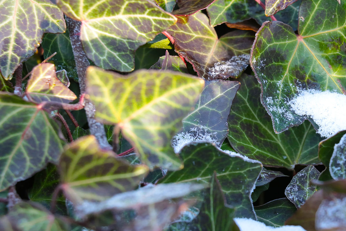 贵州中专选择指南：如何制定职业规划？