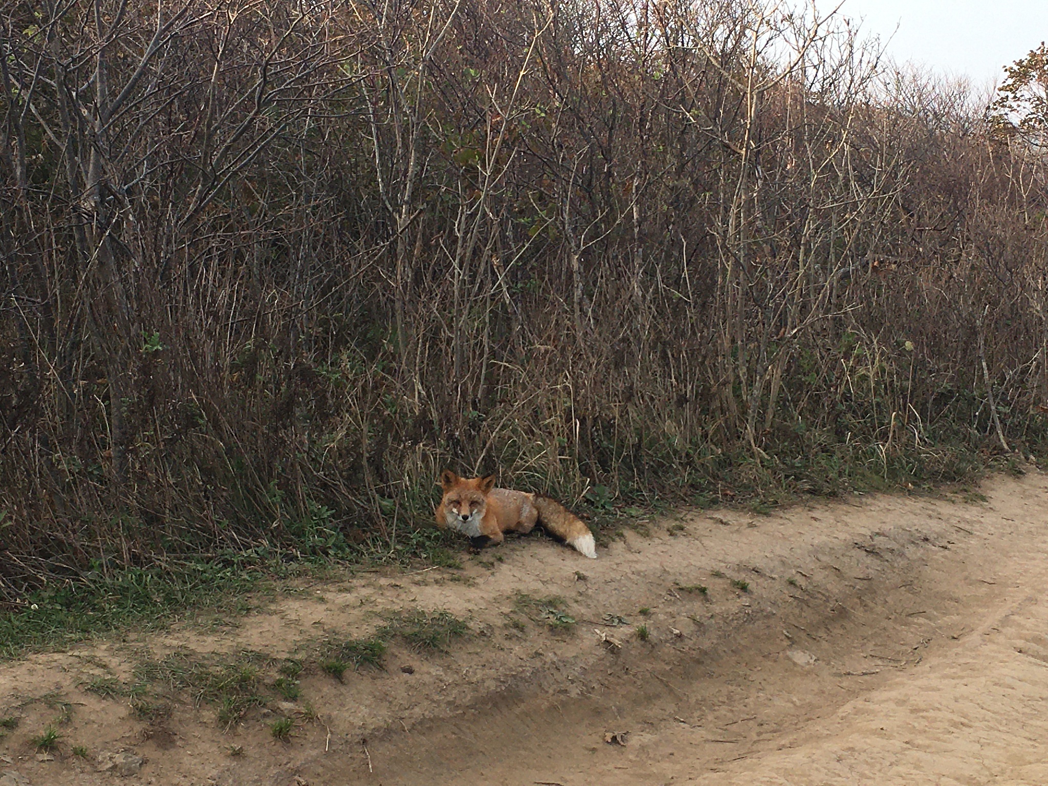 中国边疆经略史第一章：概念、范围与历史演变
