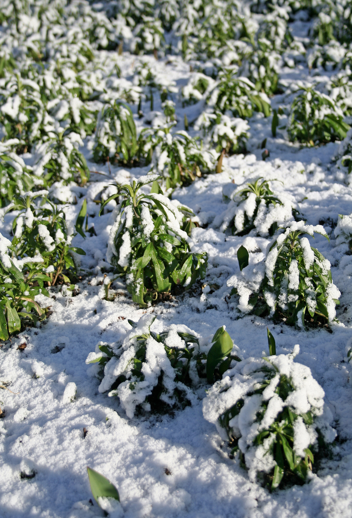 倒春寒时间推迟！4月仍需防寒！