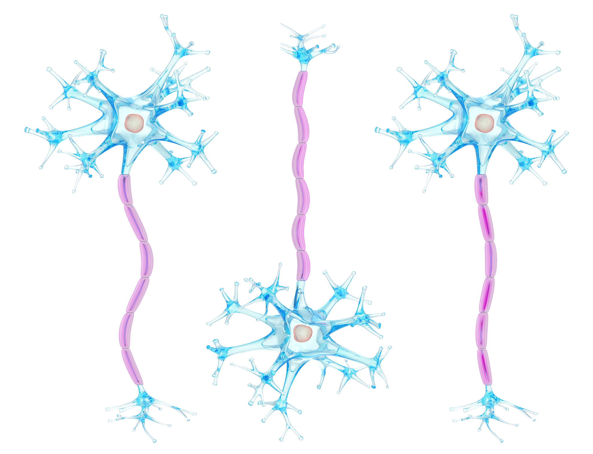 梳理一下A histone deacetylase 3–dependent pathway delimits peripheral myelin growth and functional regeneration的研究背景