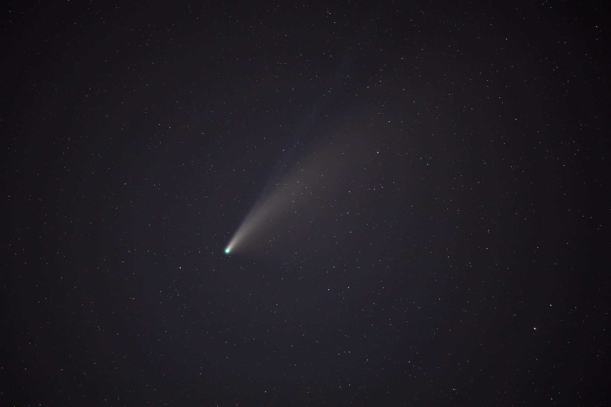 neowise comet
