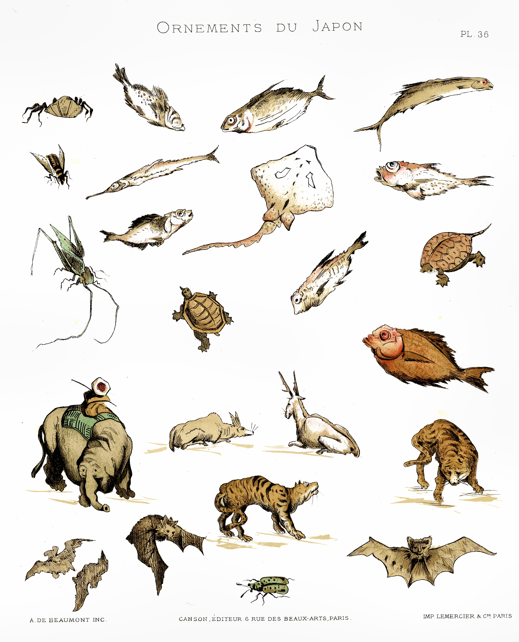 新生代各纪概览：从恐龙灭绝到人类出现