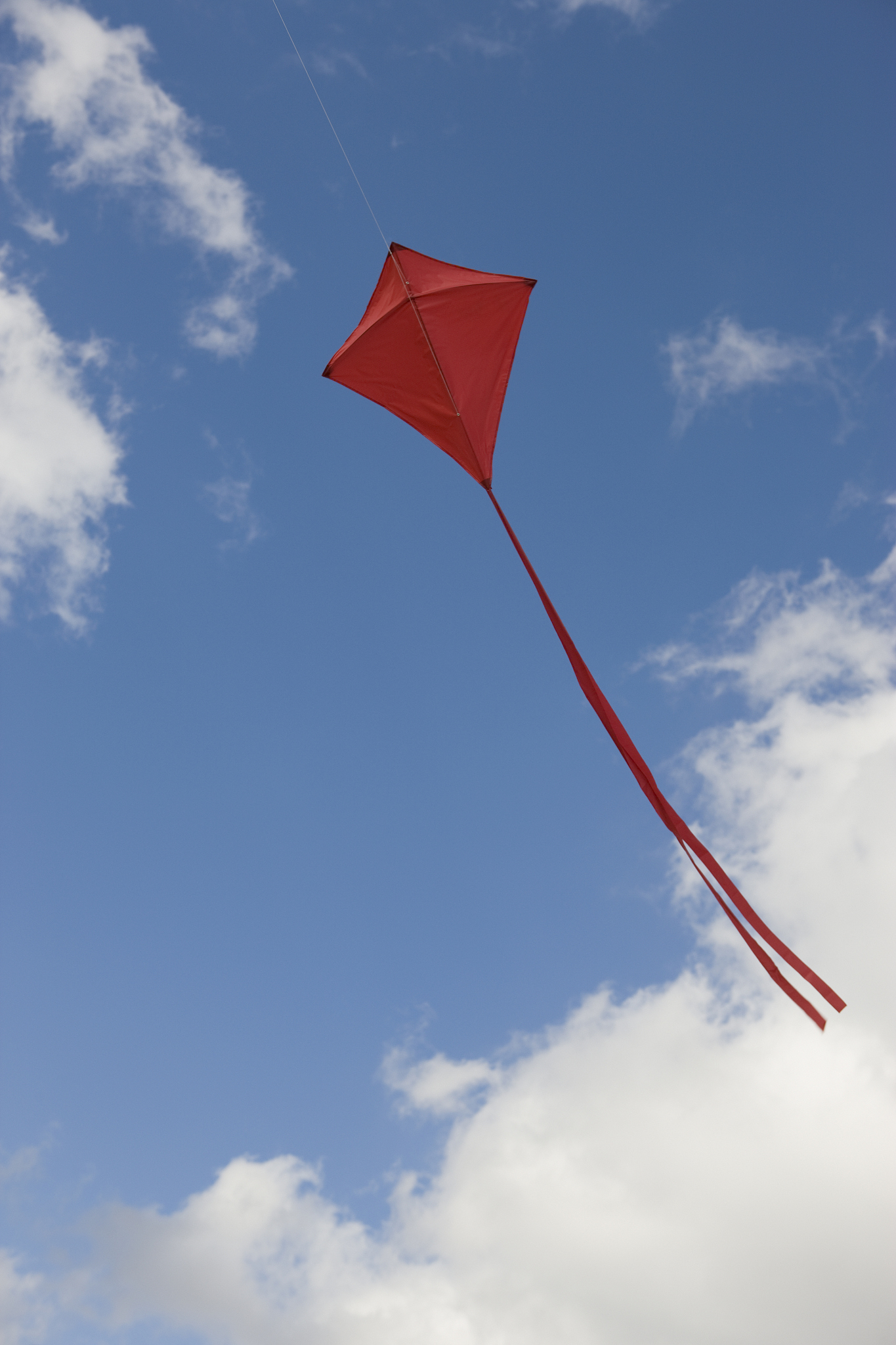 red kite in sky