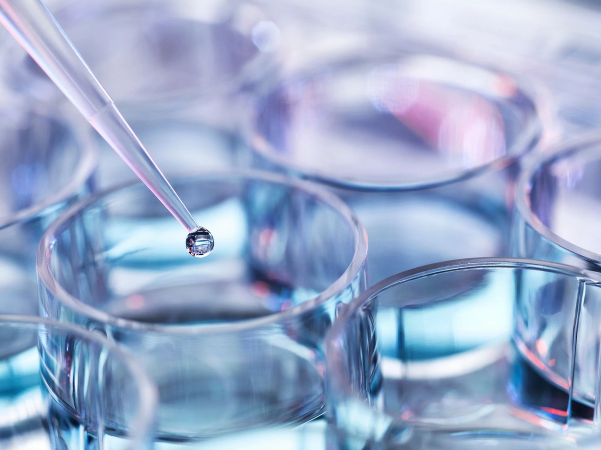 粘液科技应该加什么附属