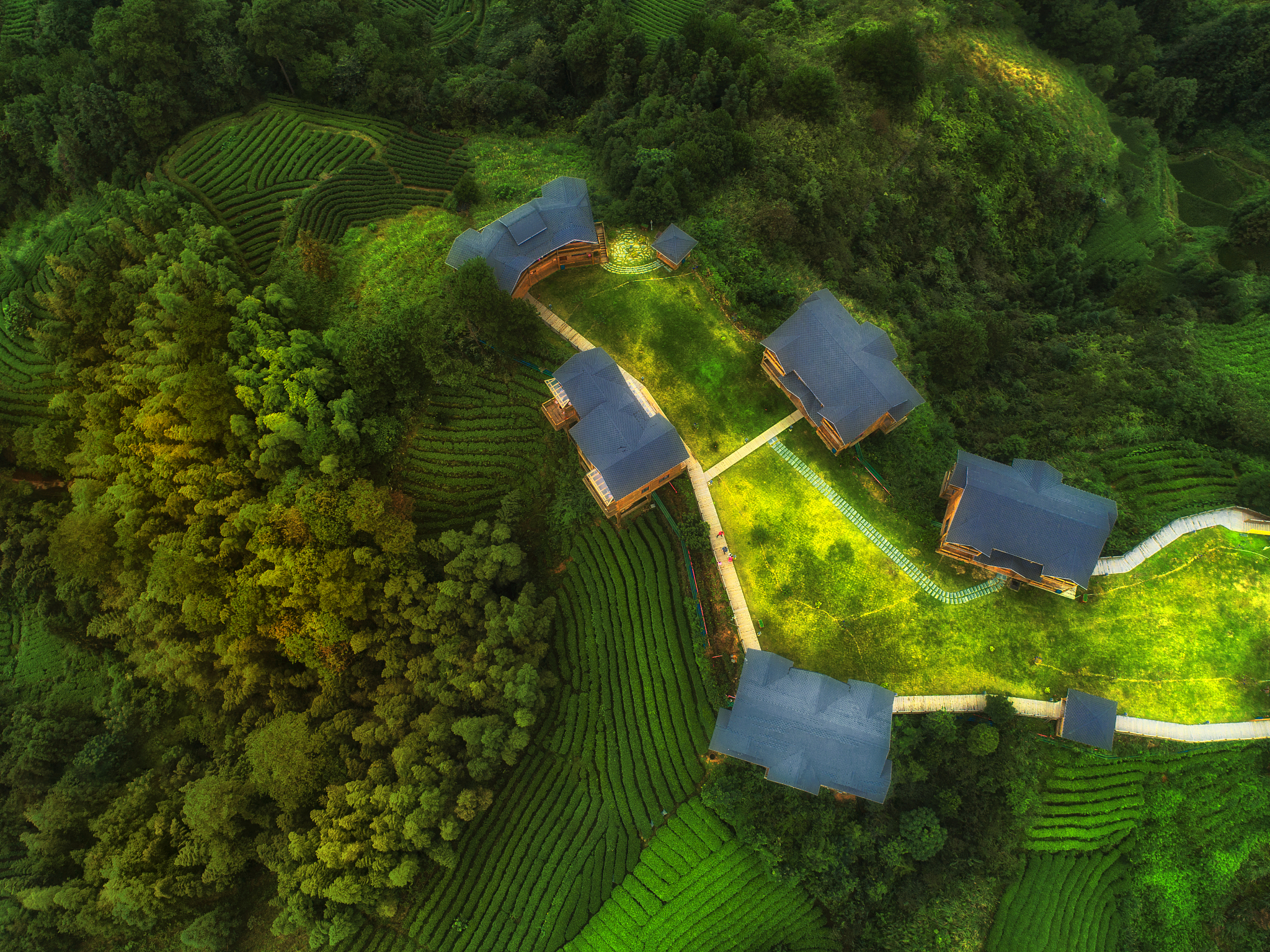 我提供一段文字 你能帮我按照这个框架写5篇稿子吗？示例：⿅柴⼭集在这5年成为了成熟的农创⽥园综合体、乡村振兴⾏业的标杆、全域乡村振兴规划和乡村振兴运营商。⾃2018年起⿅柴⼭集致⼒于乡村振兴、城乡融合实现⼭的两边都是⽣活这样美好的⽥园⽣活愿景。