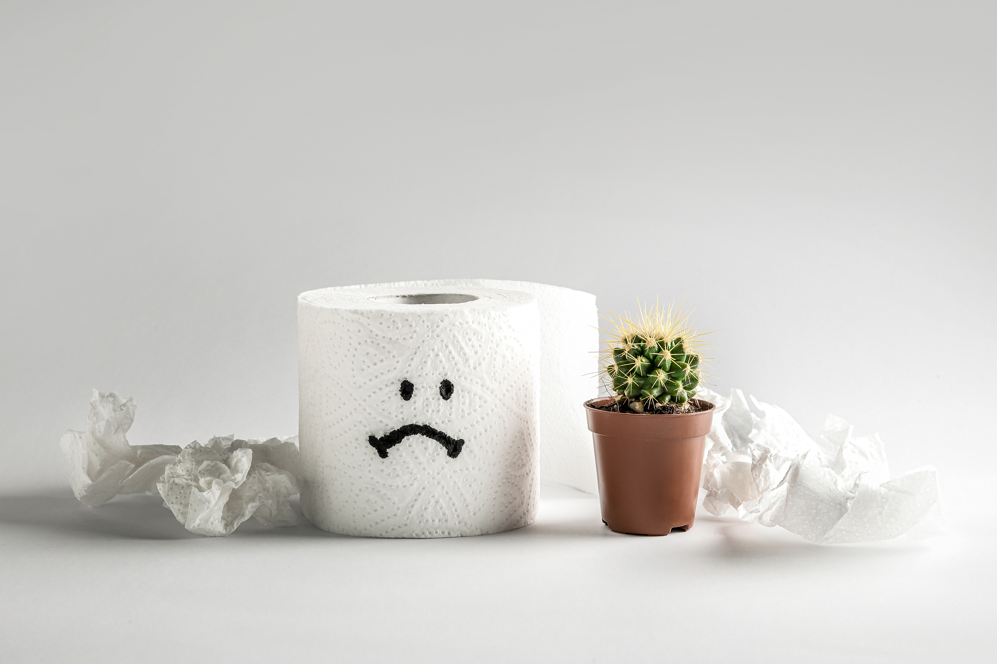 toilet paper roll with sad smile and cactus
