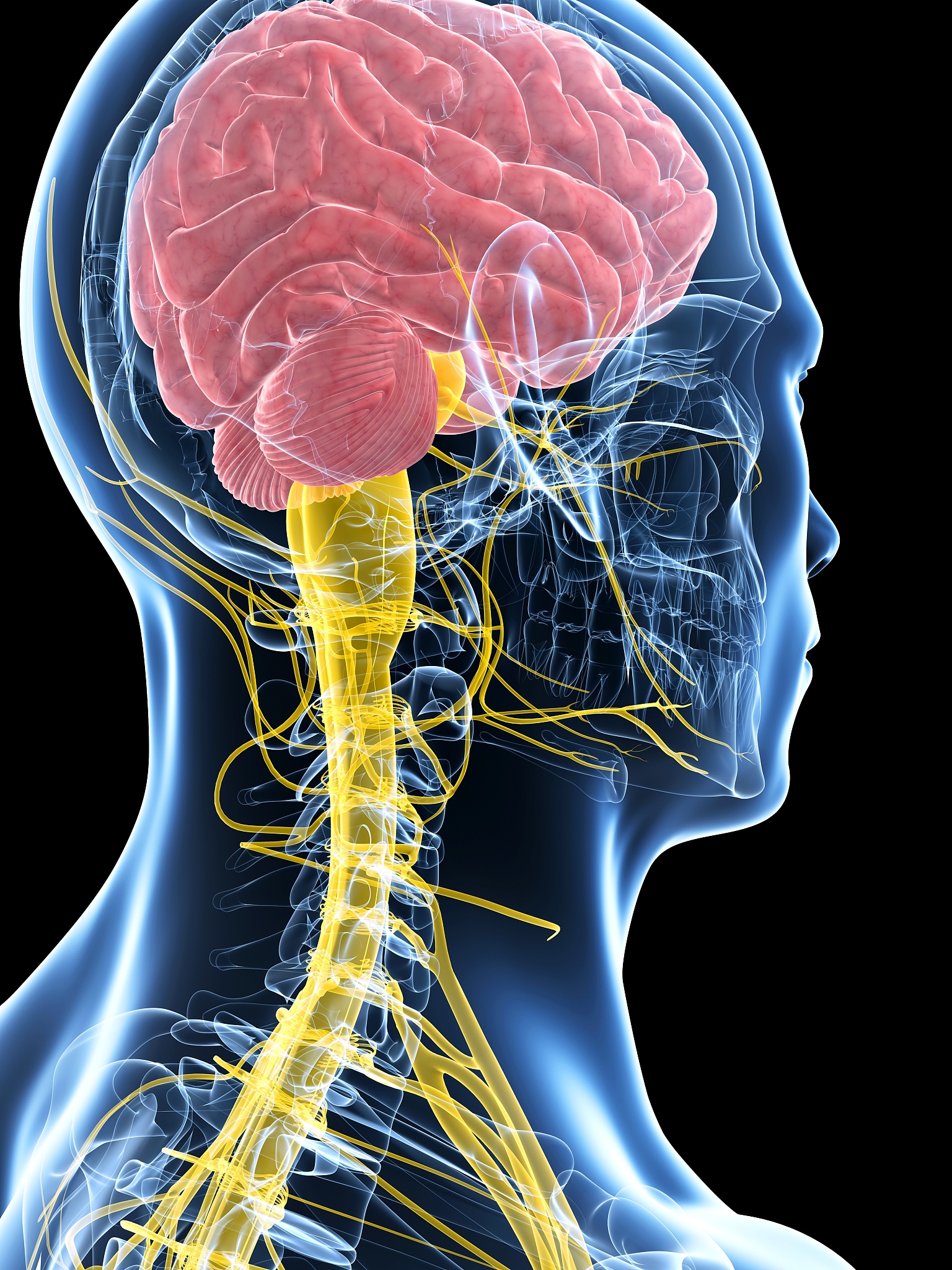 云南省曲靖农业学校2019年全日制五年制招生专业信息