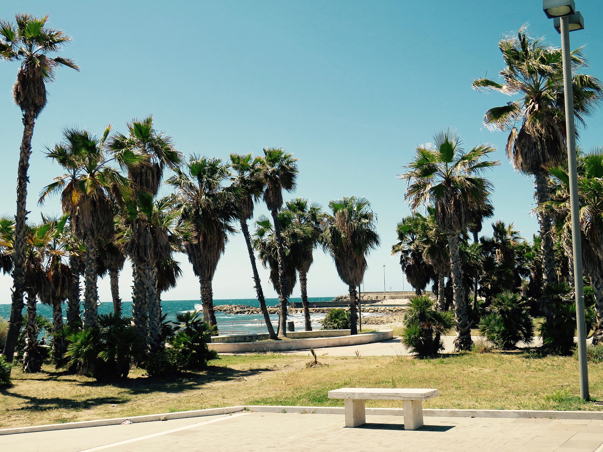For locals and visitors the coastal city of Haikou is becoming more attractive thanks to the numerous graceful coconut trees warm sunshine delicious cuisines and more recently the wetlands that are ex