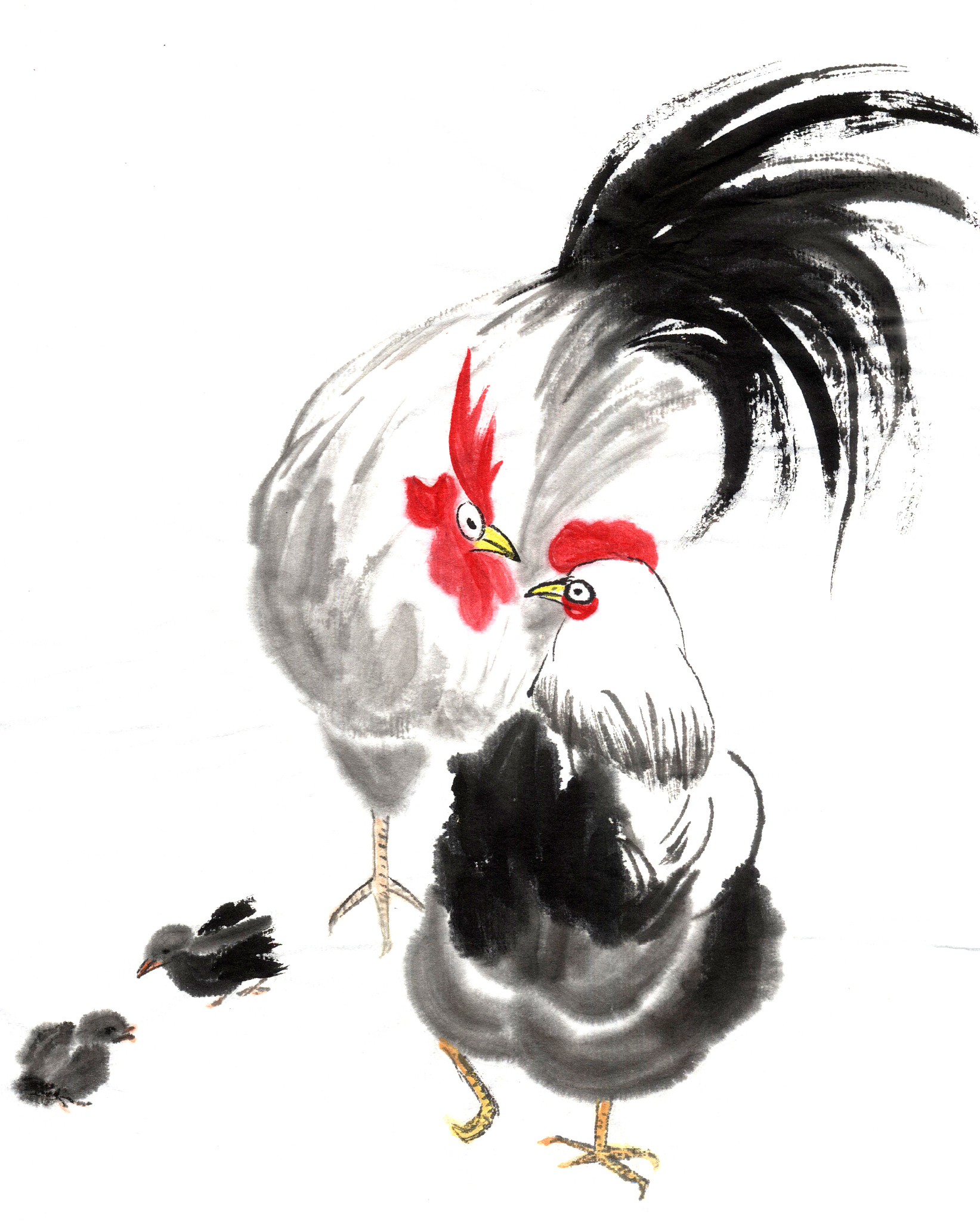 生肖鸡2024运势详解，属鸡人性格和爱情分析