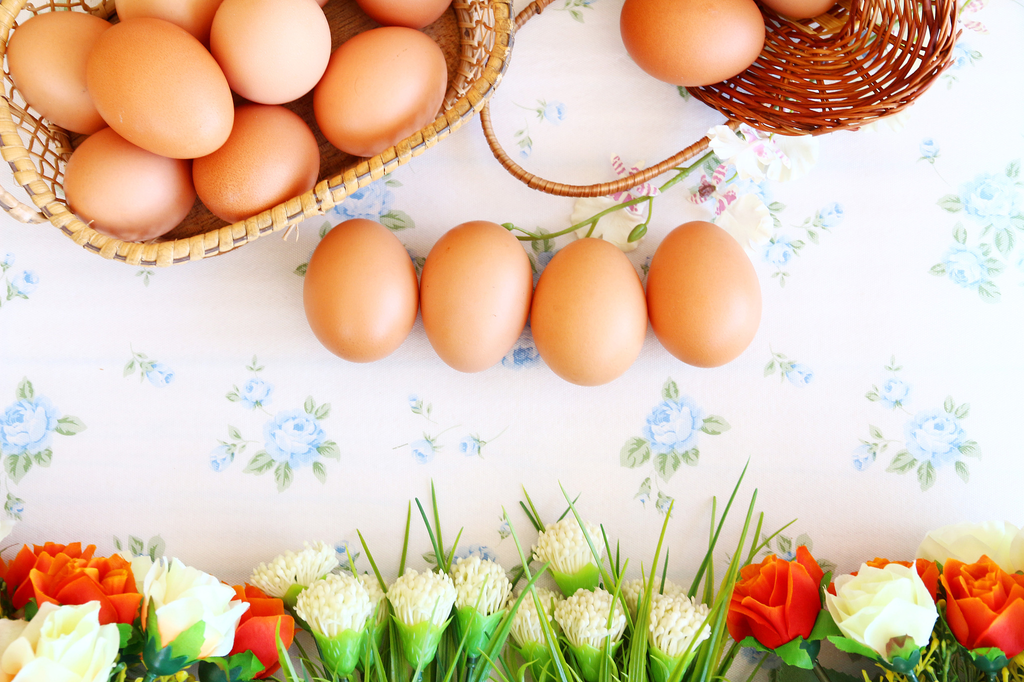 fresh eggs