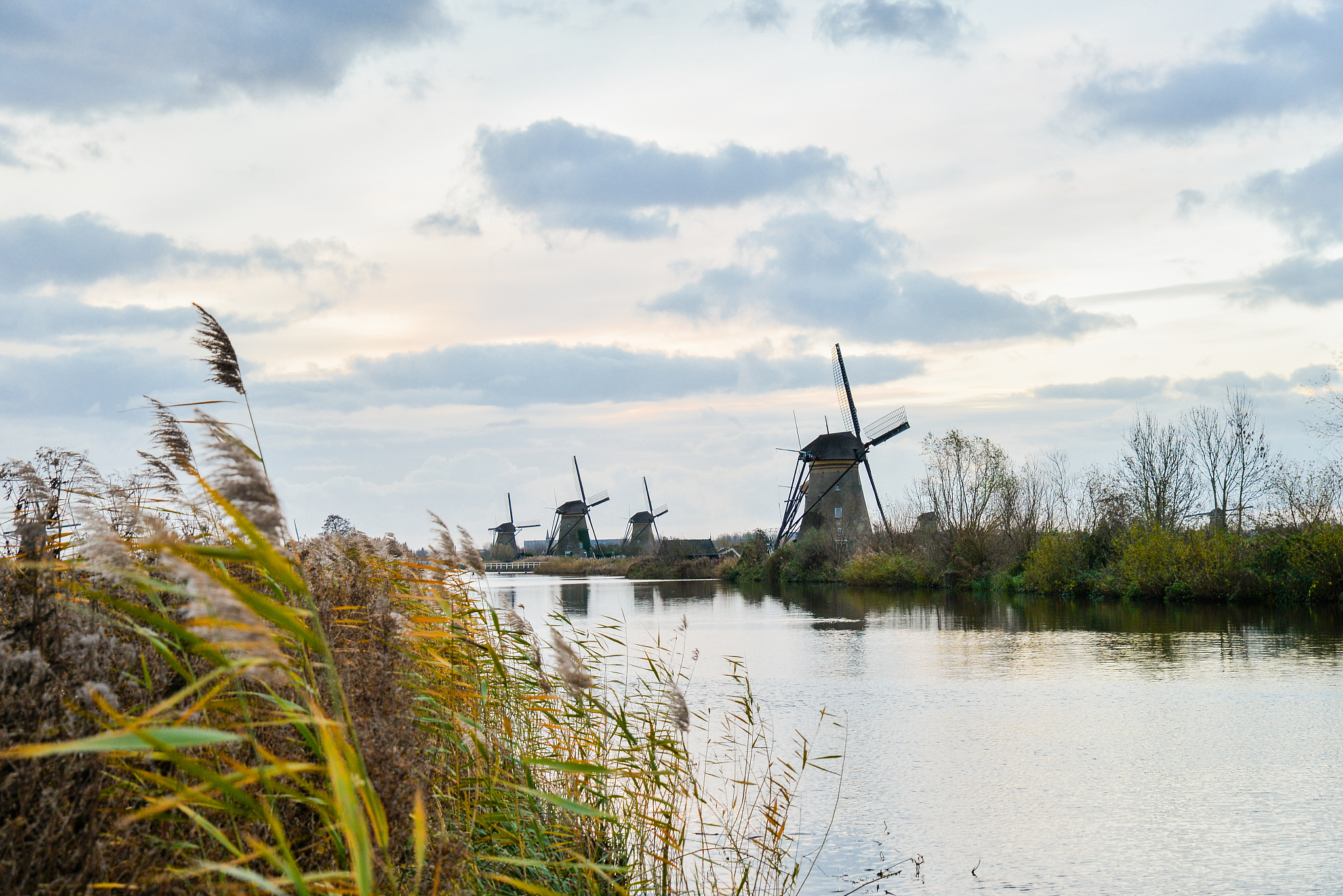 old windmills in kinderdijk at sunrise, holland, netherlands, eu