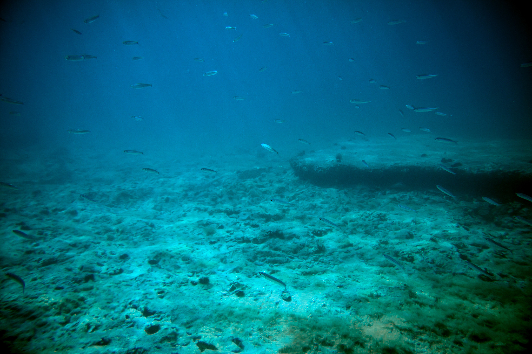 adriatic sea underwater view beneath surface