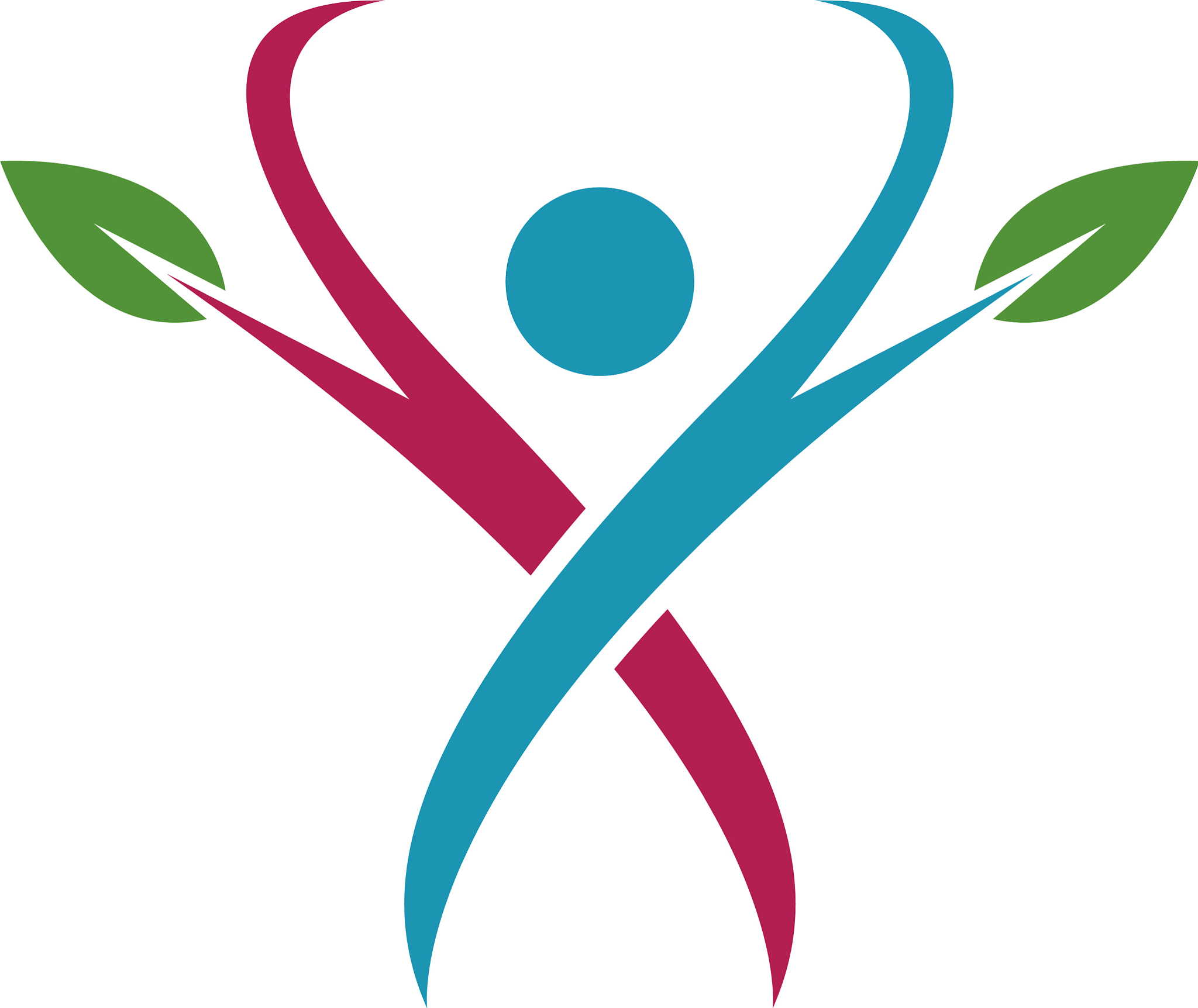 health icon