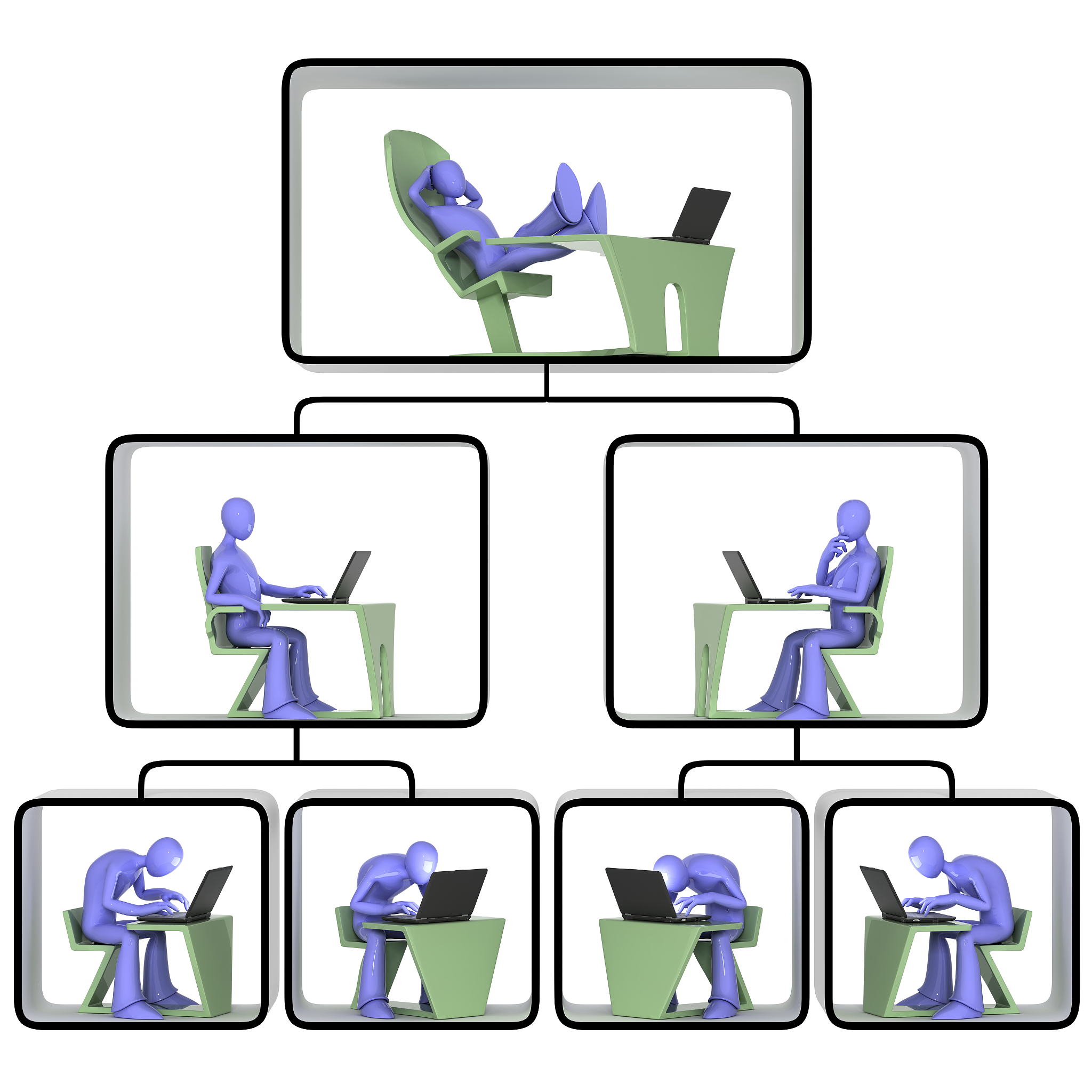 organization structure