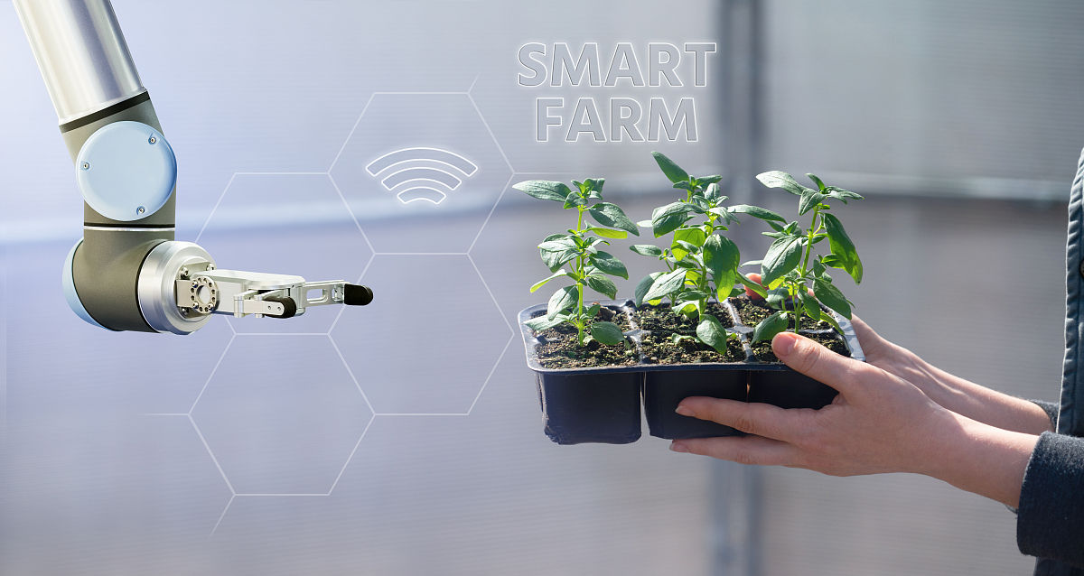 脑洞大开！智能植物：与你互动、感知环境、自我生长的未来