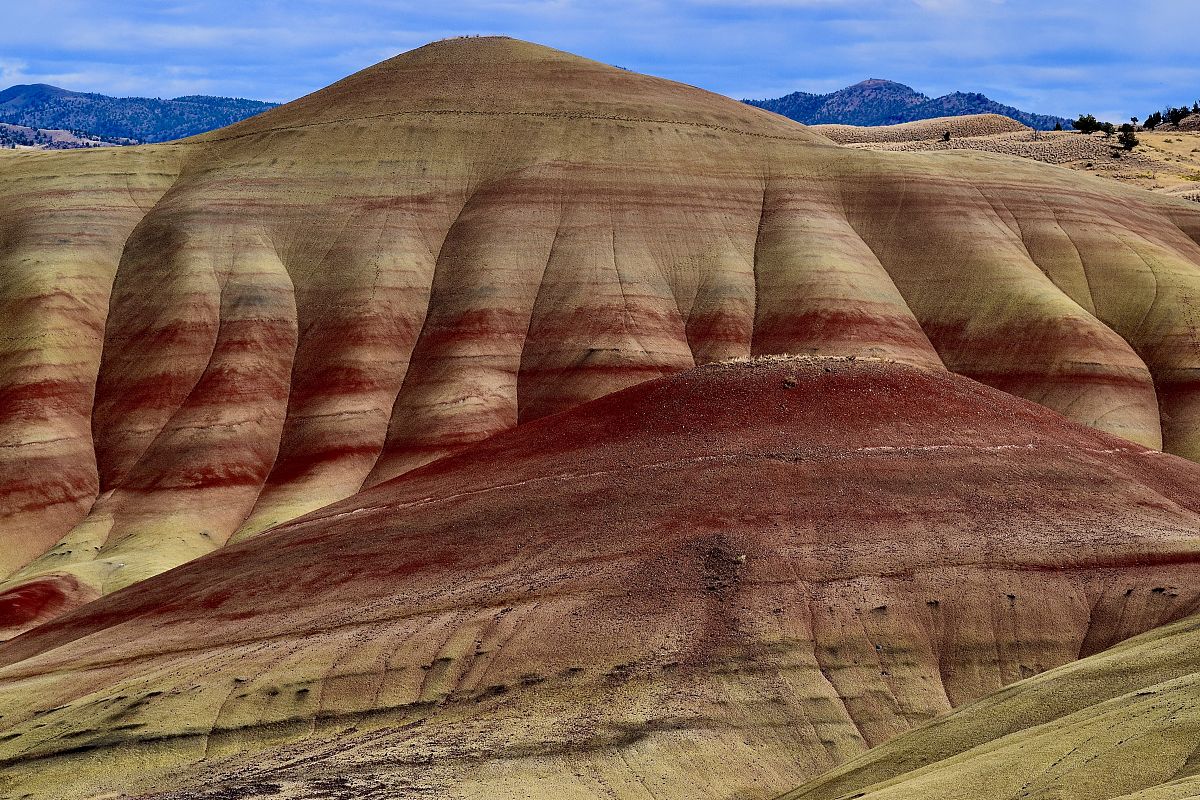 陆良彩色沙林服务平台：基于微信小程序的设计与实现研究