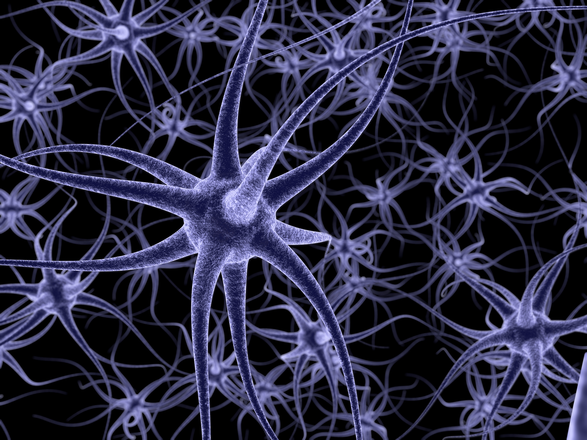 JOURNAL OF NEUROINFLAMMATION期刊简介