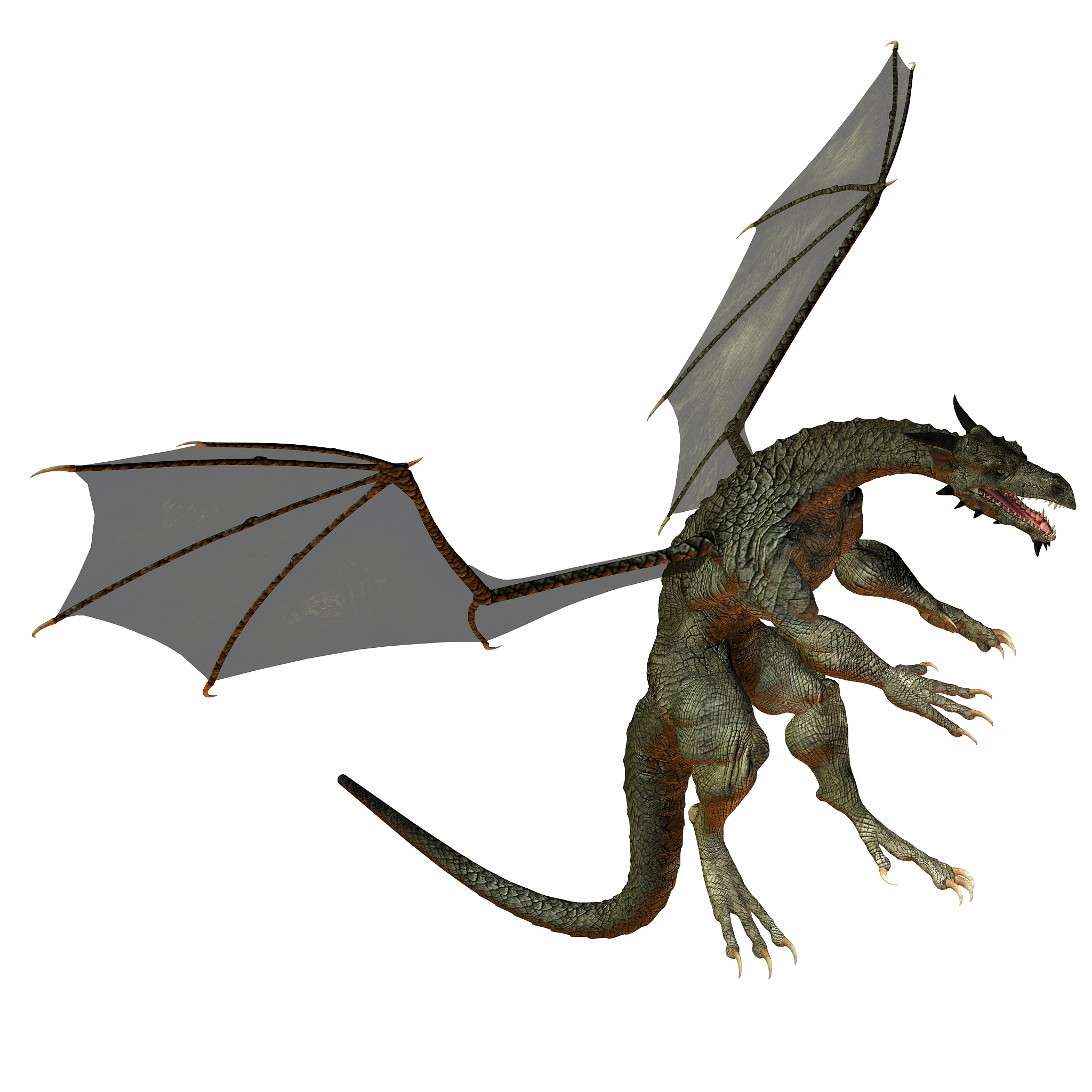 gray brown dragon
