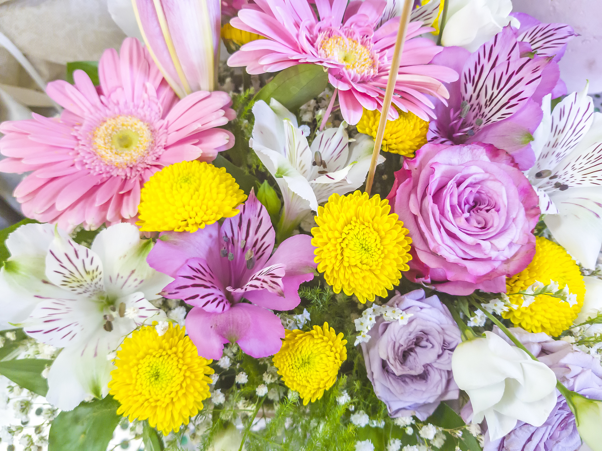 15 Common Flower Names in English