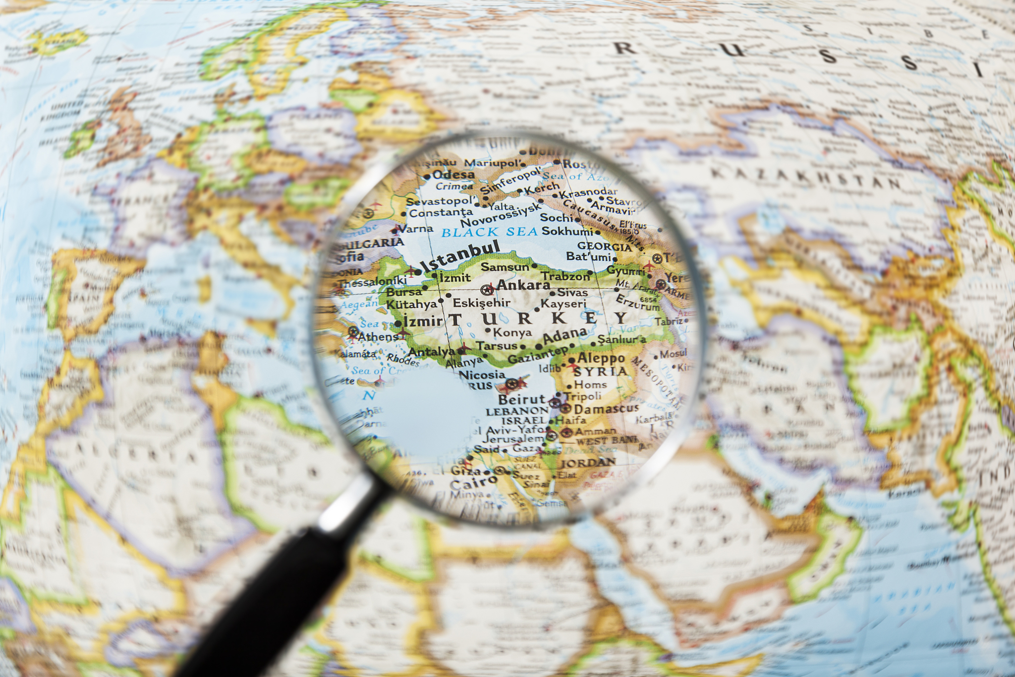 turkey and magnifying glass