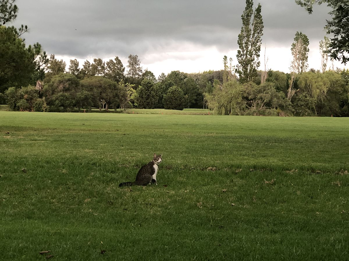 韦斯莱的冒险之旅：穿越草原、沼泽，发现神秘与宝藏