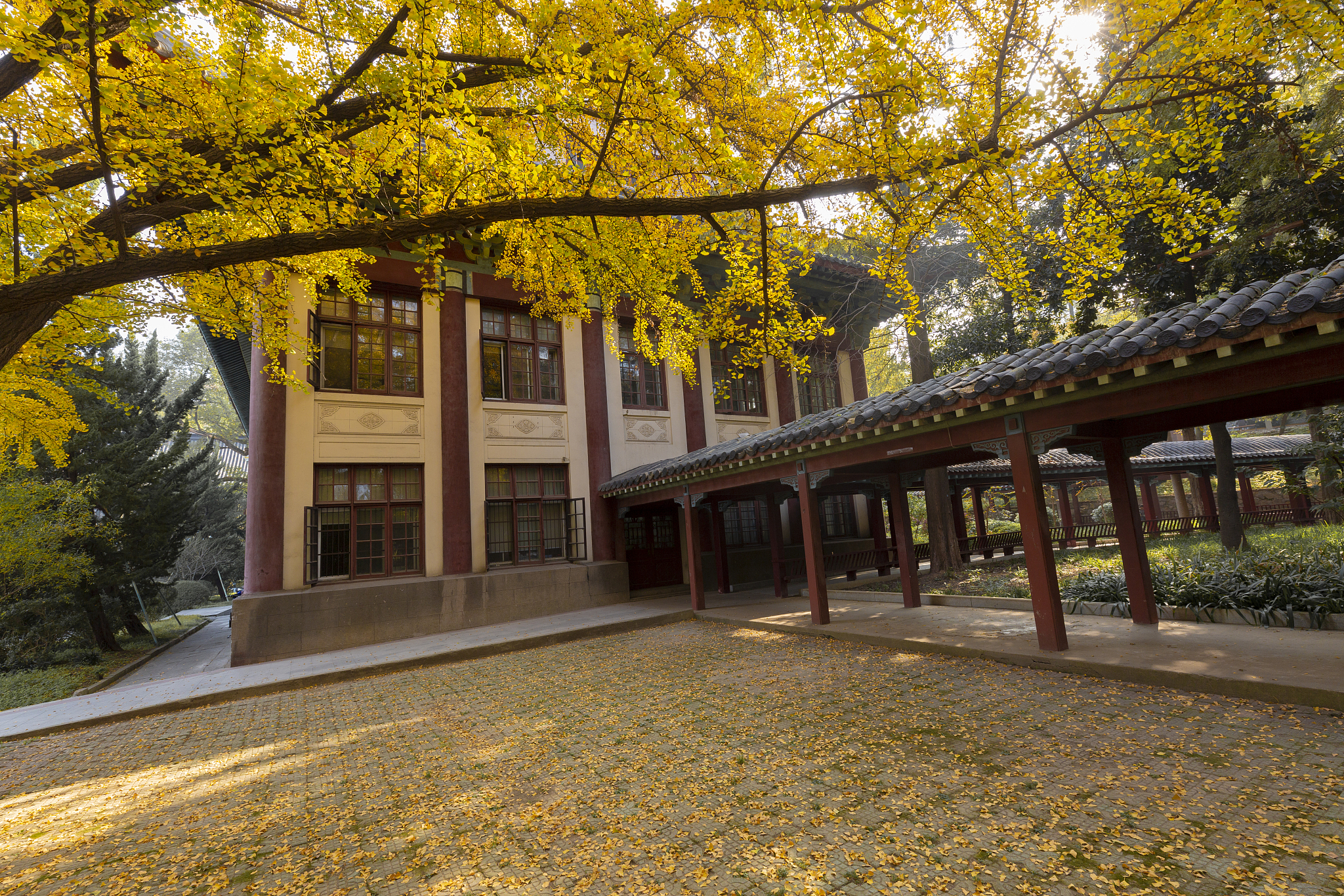 2020年成都信息工程大学银杏酒店管理学院经济信息管理专科专业介绍